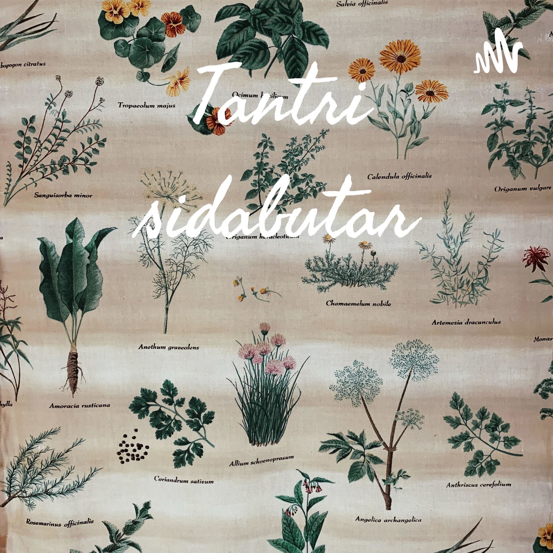 Tantri sidabutar - Podcasts