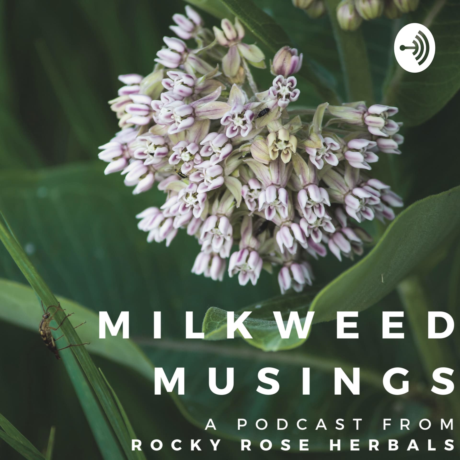 Milkweed Musings - Podcasts
