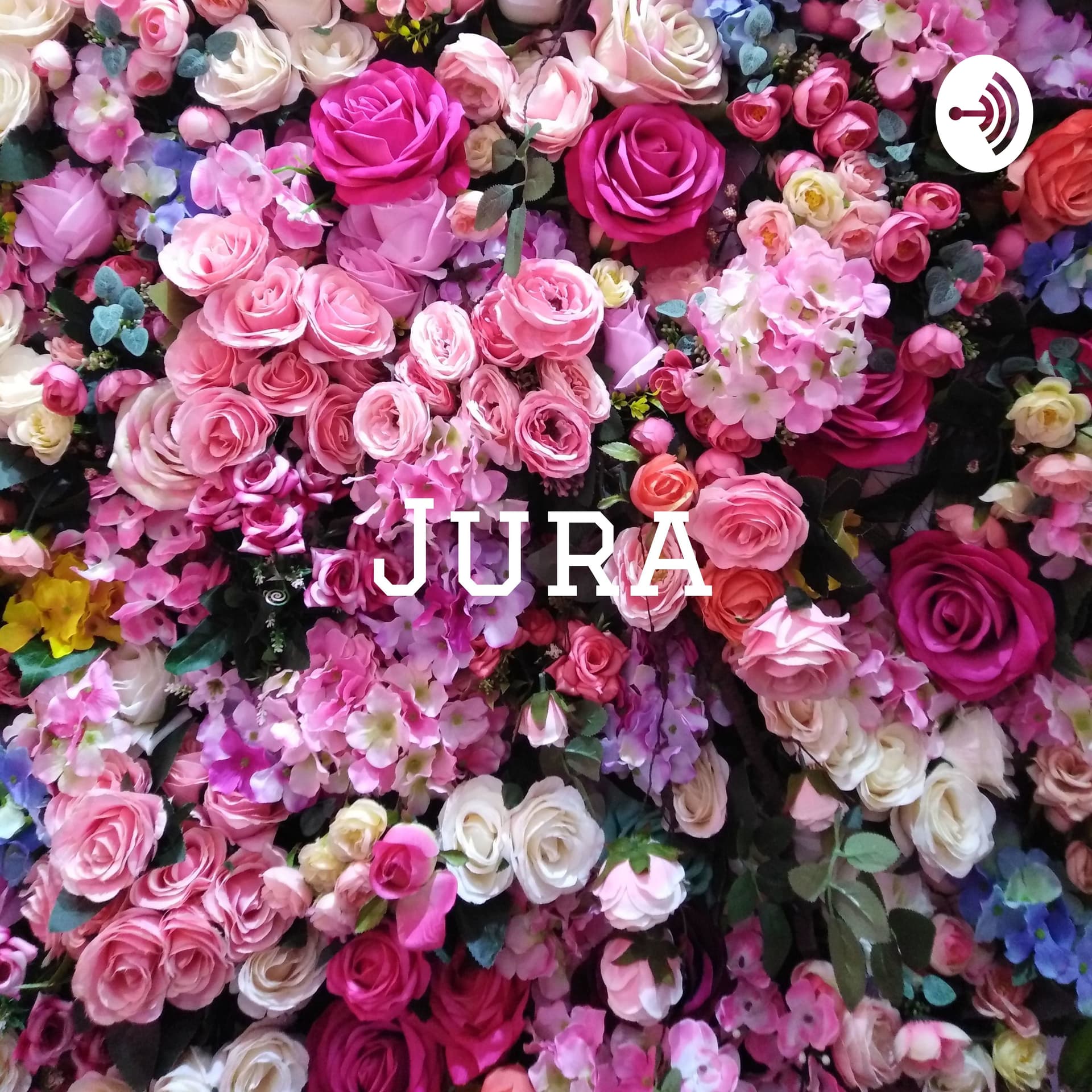 Jura - Der Sadist unter den Studiengängen - Podcasts