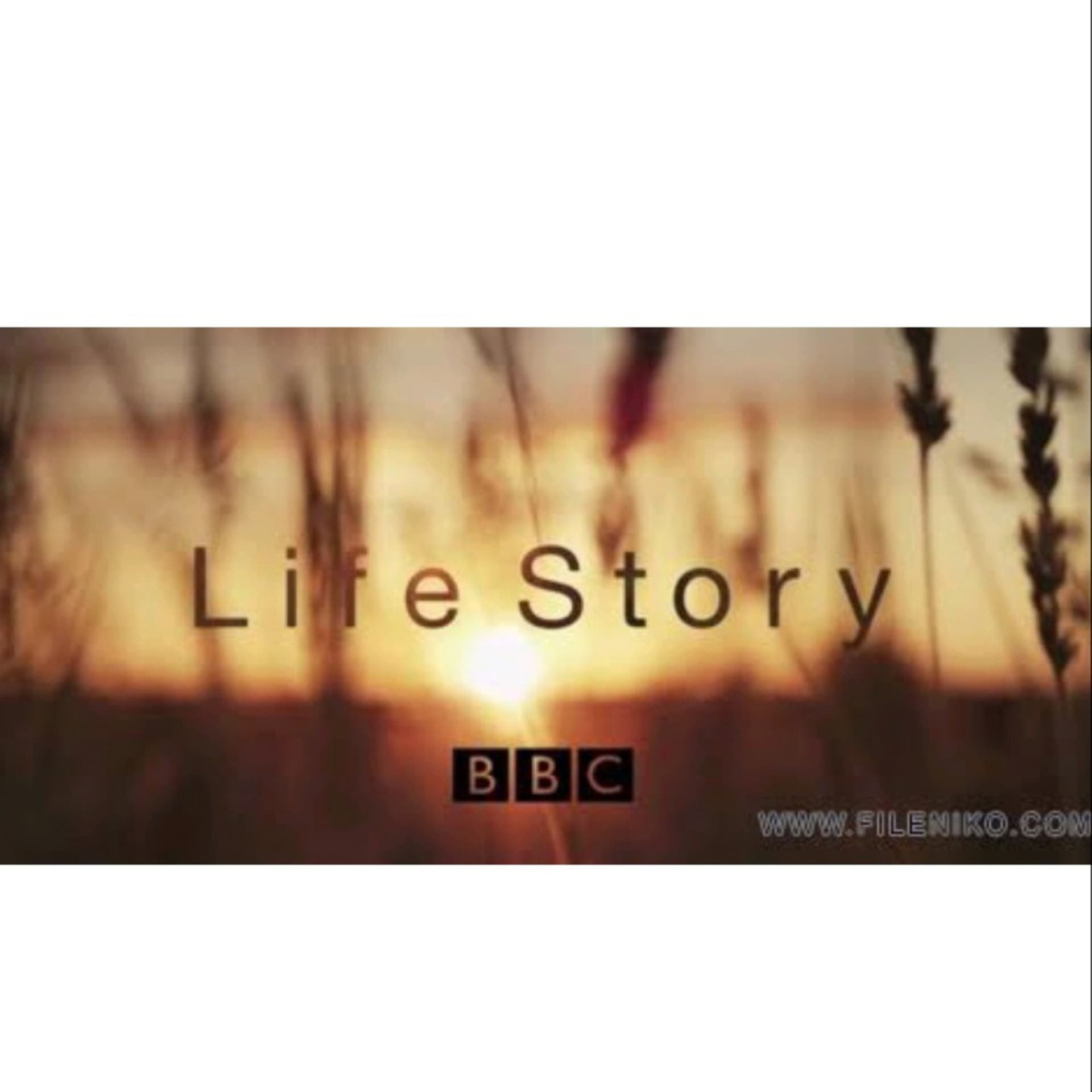 Story Life - Podcasts
