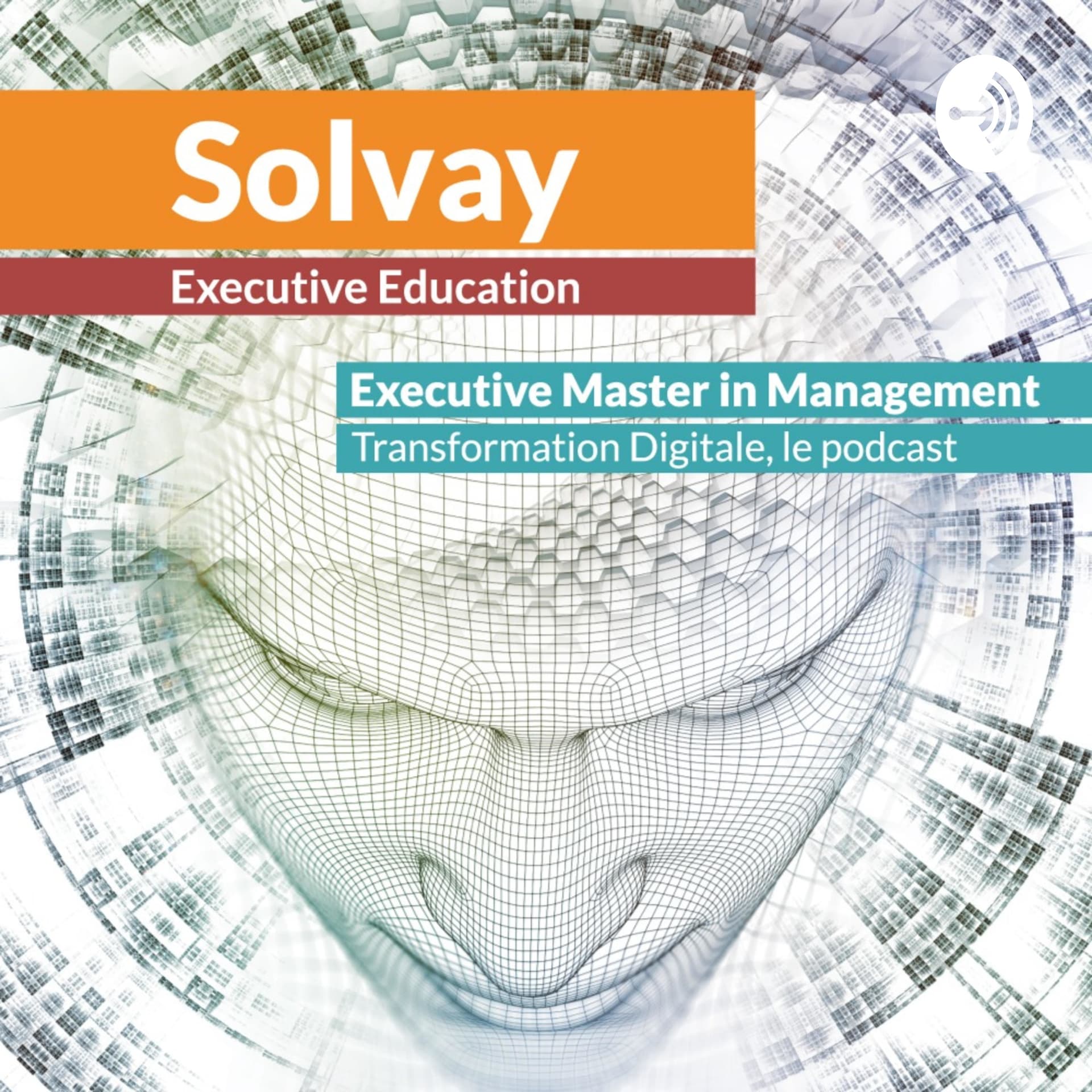 Solvay EMM - Transformation Digitale