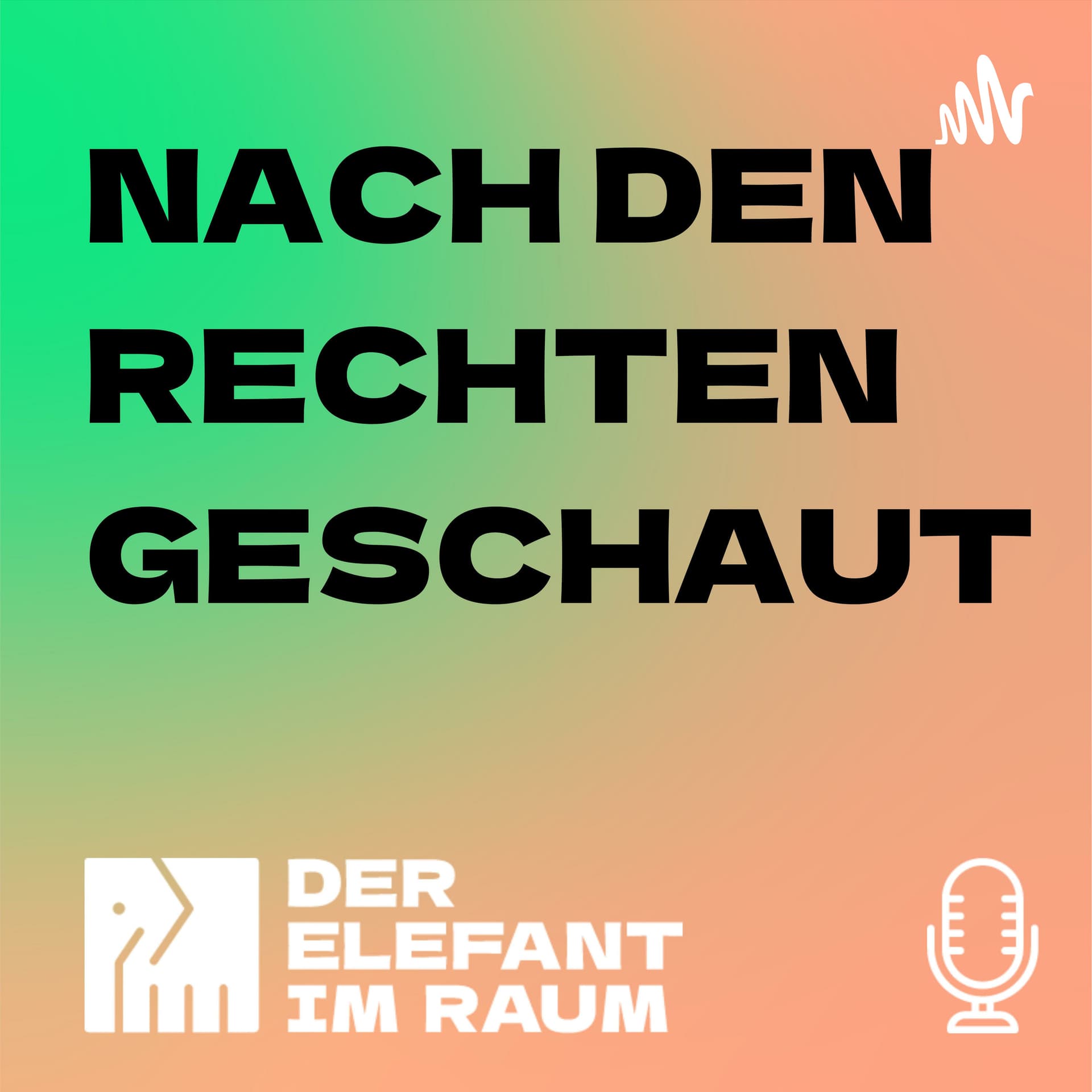 Nach den Rechten geschaut - Podcasts