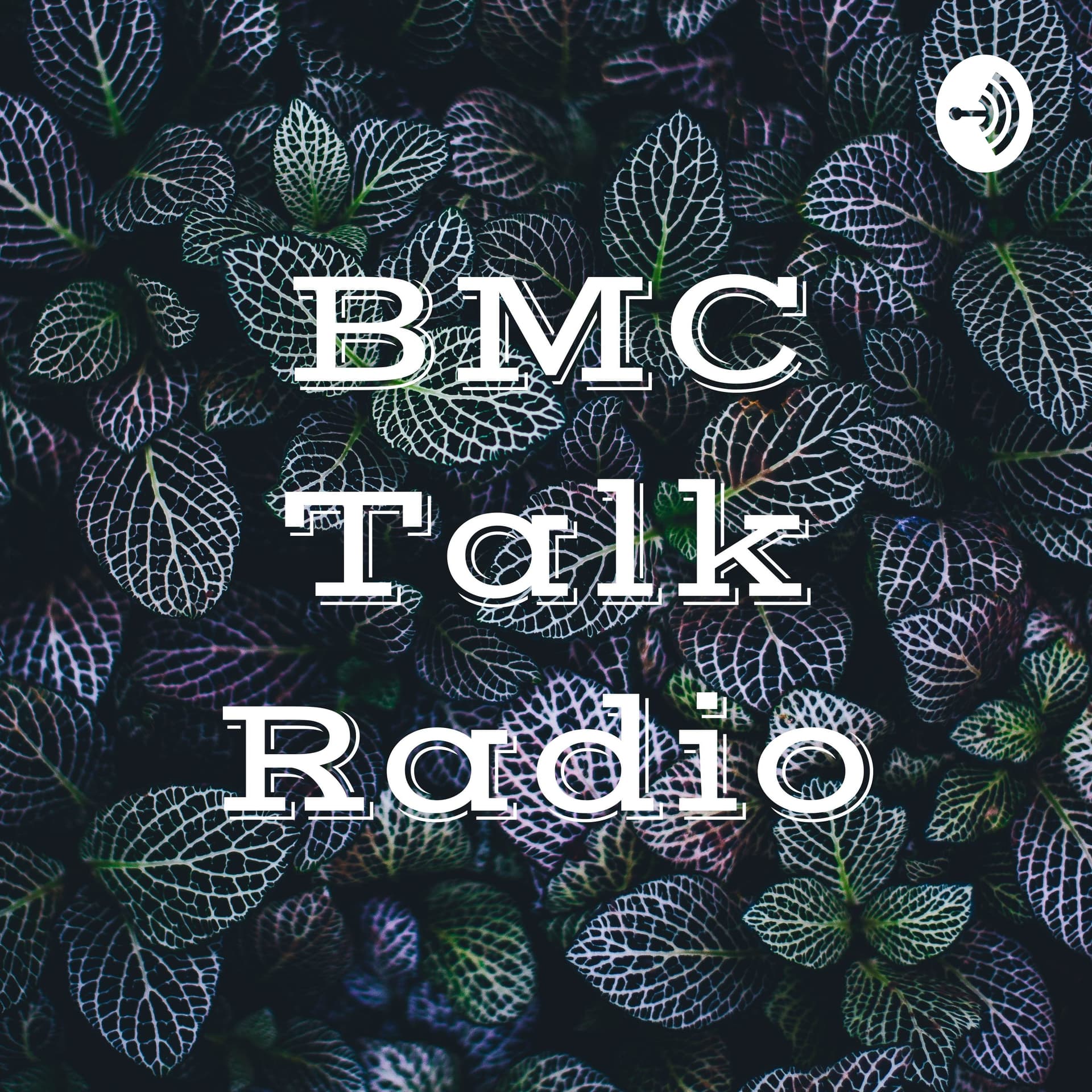 BMC Talk Radio - Podcasts