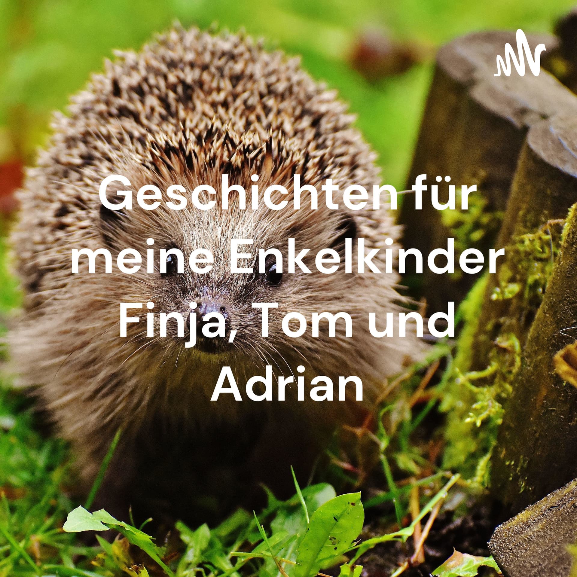 Geschichten für meine Enkelkinder Finja, Tom und Adrian