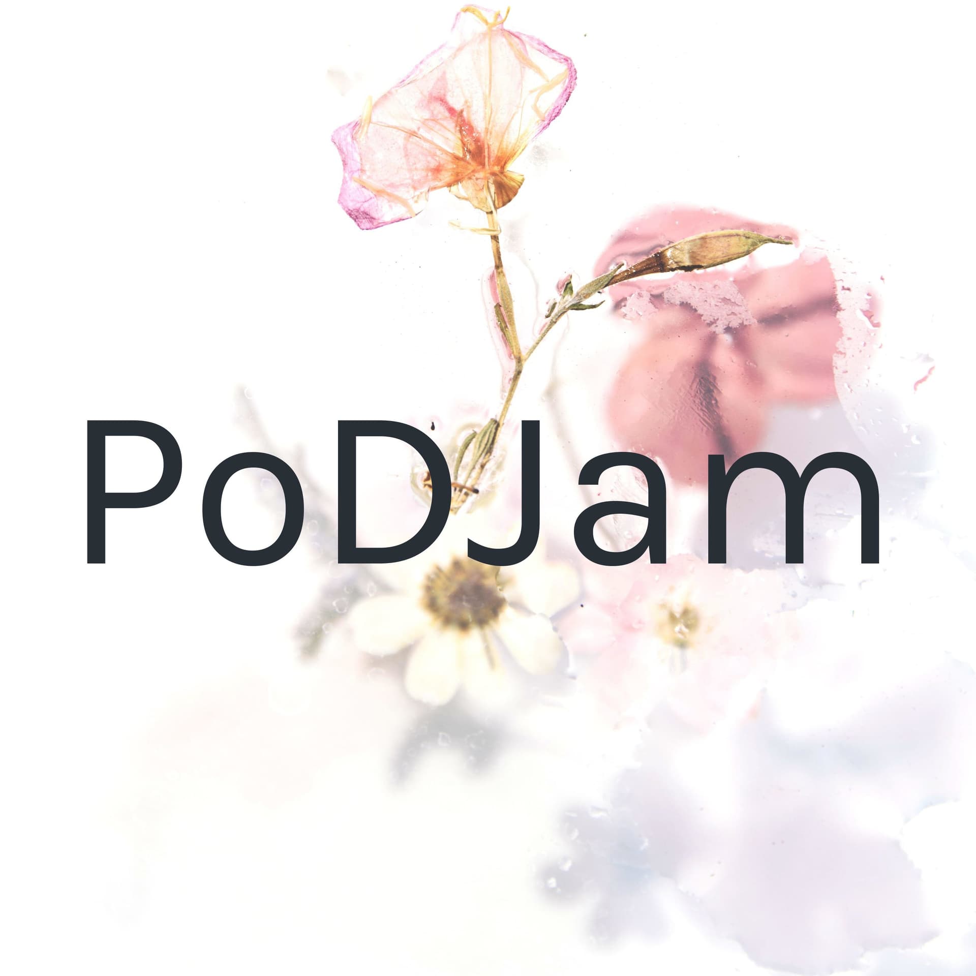 PoDJam - Podcasts
