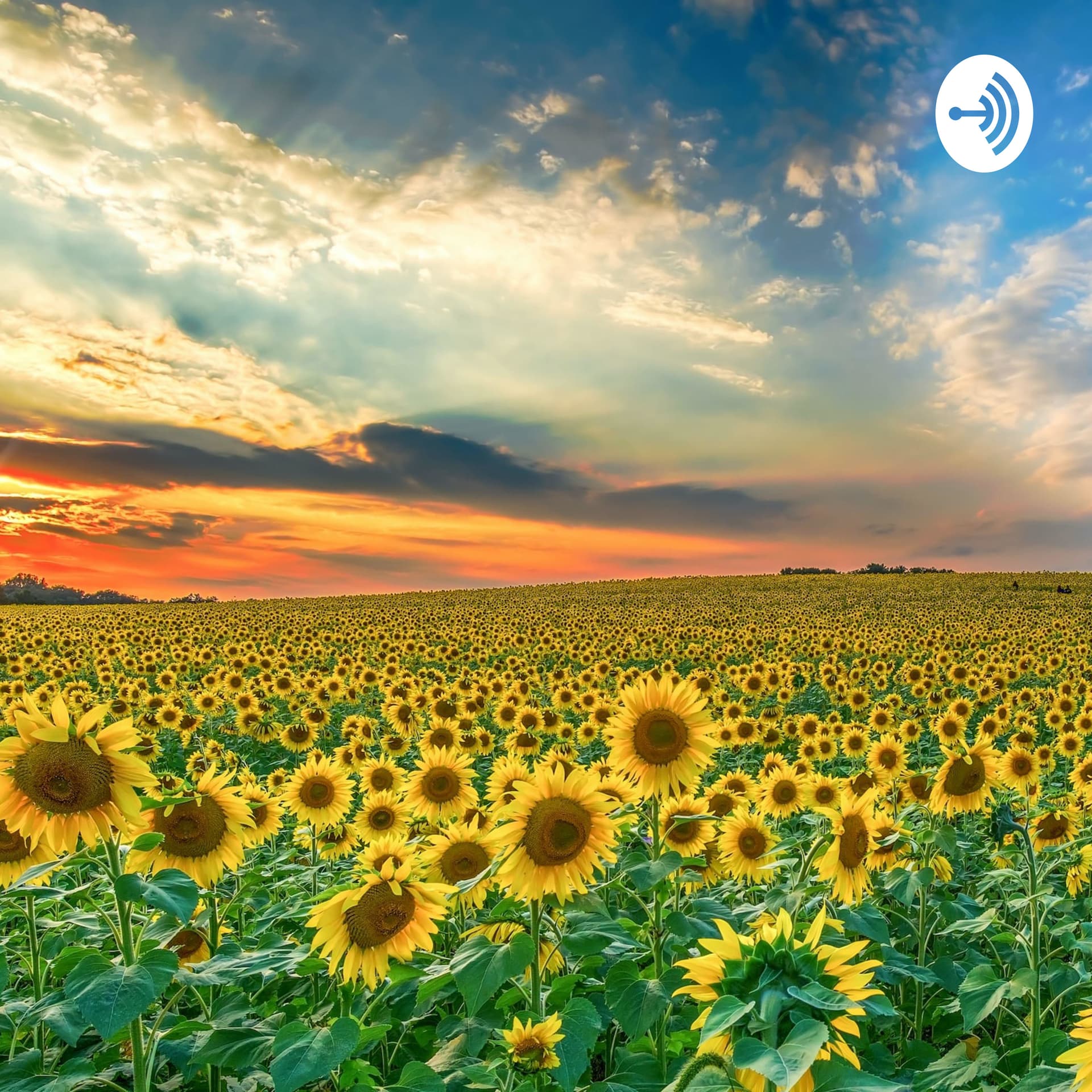 Pangallık Sohbetleri - Podcasts