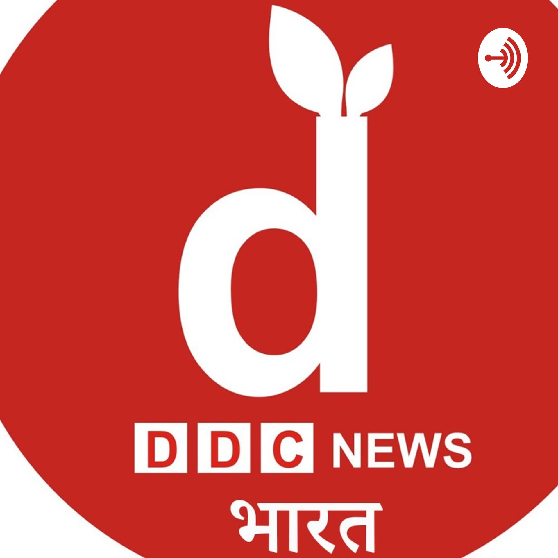 DDC NEWS - Podcasts