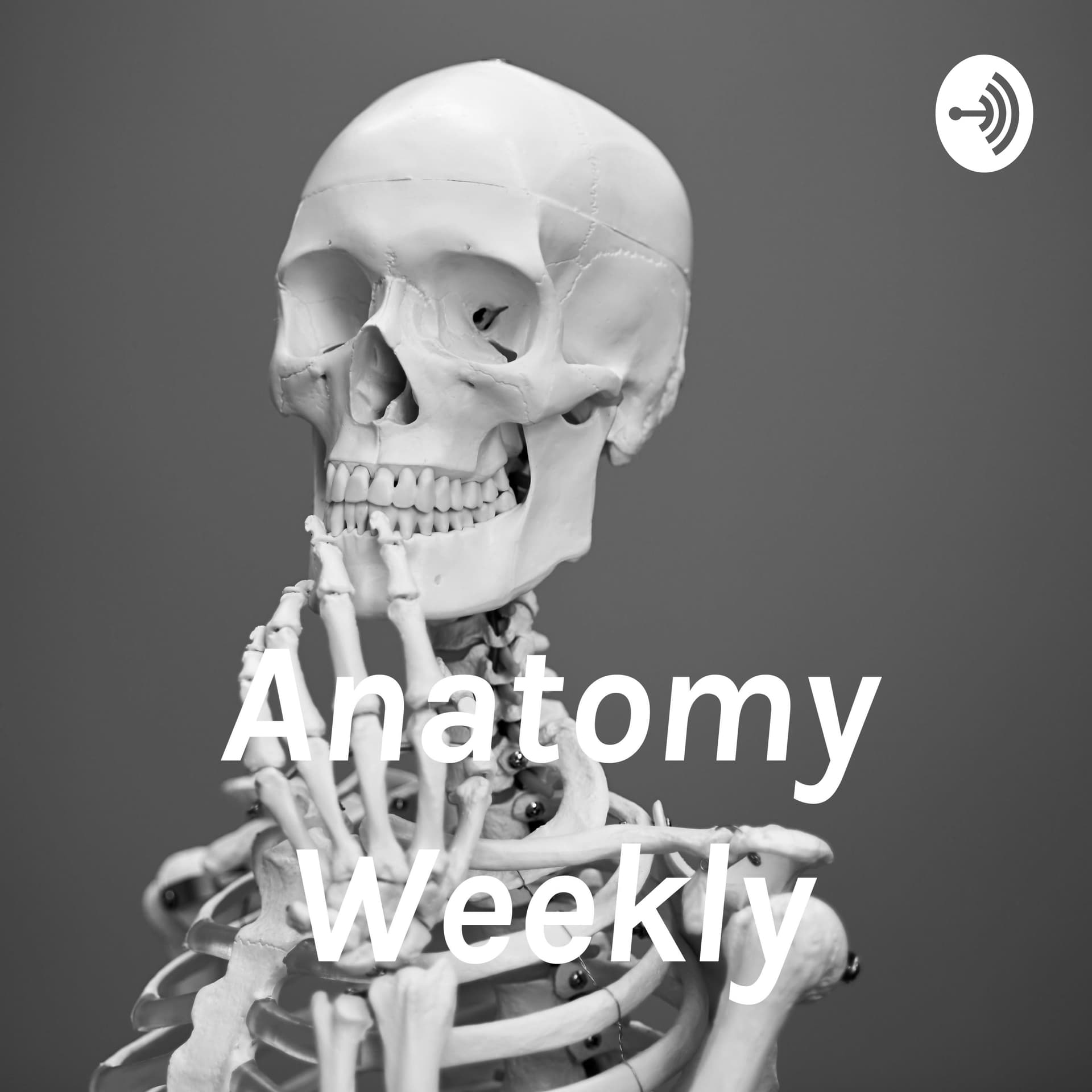 Anatomy Weekly - Podcasts