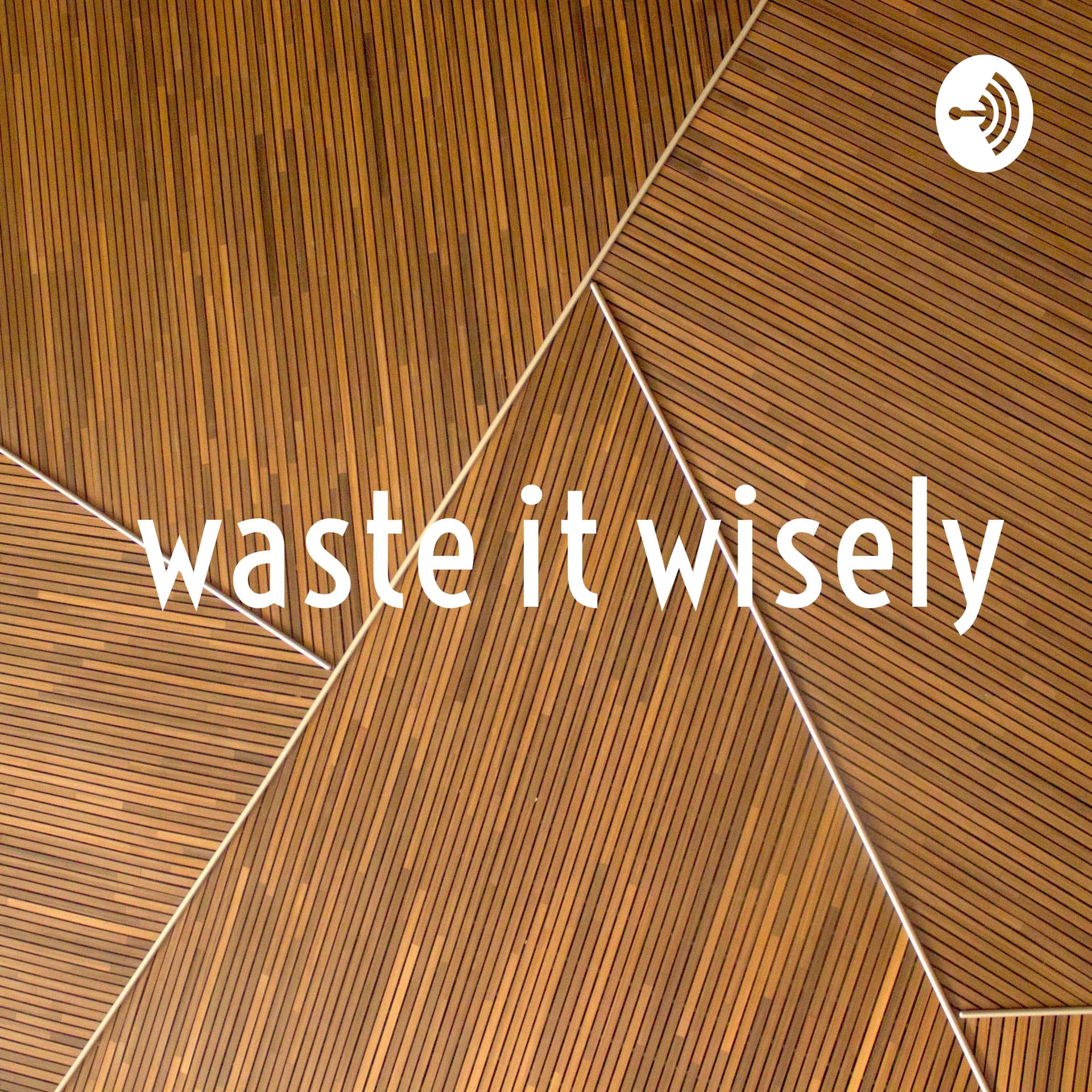 waste it wisely - Podcasts