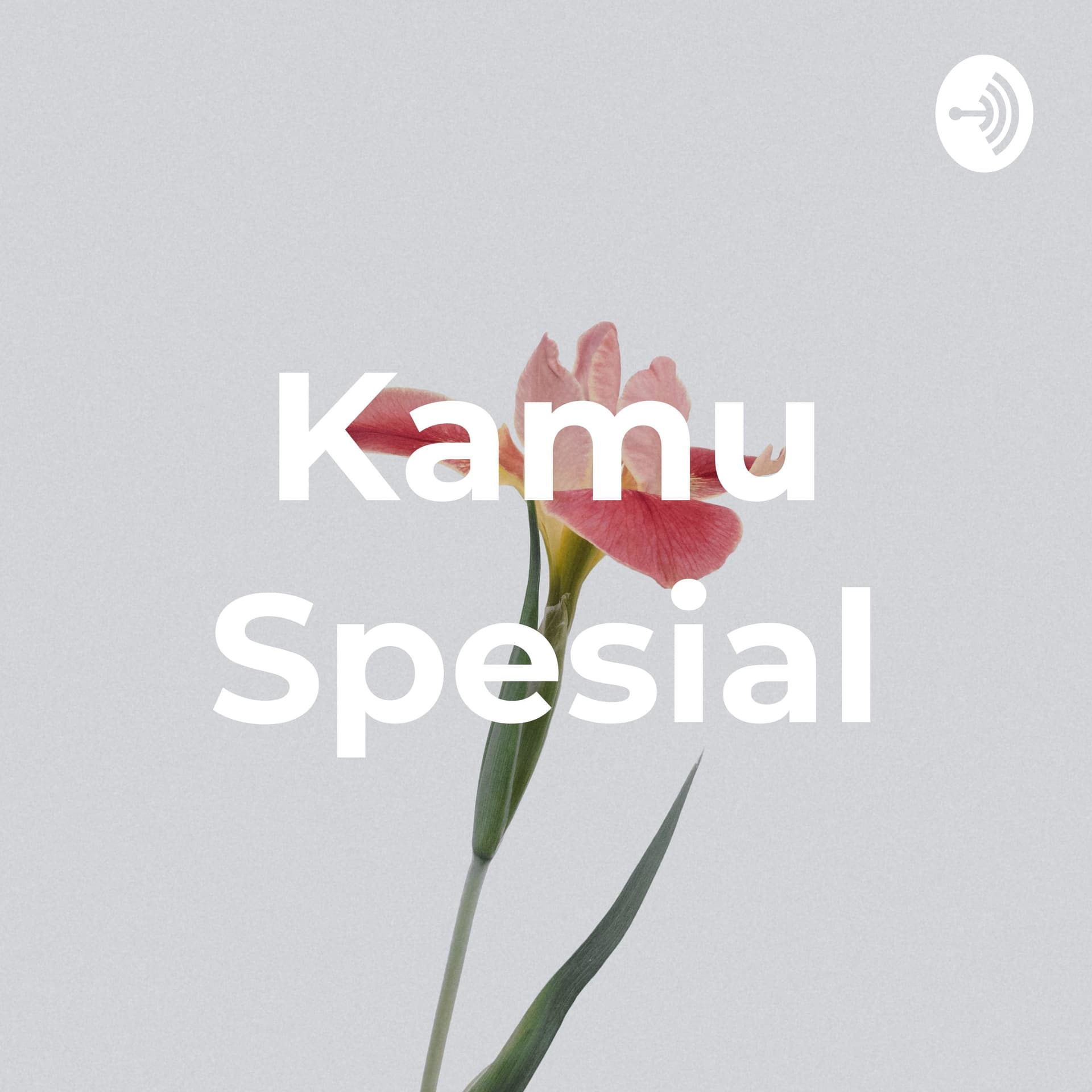 Kamu Spesial - Podcasts