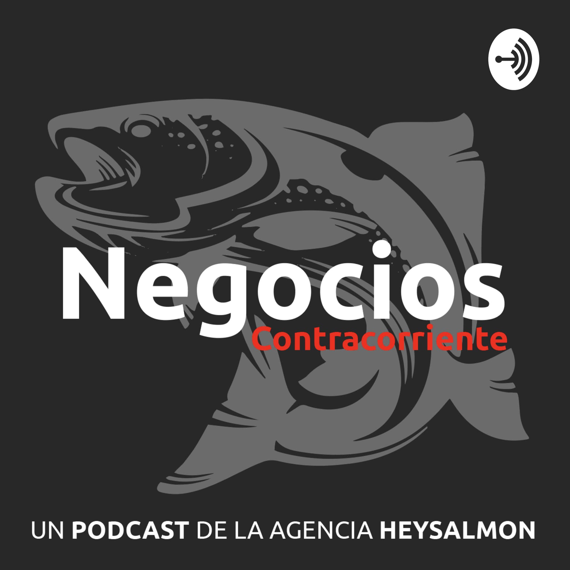 Negocios Contracorriente - Podcasts
