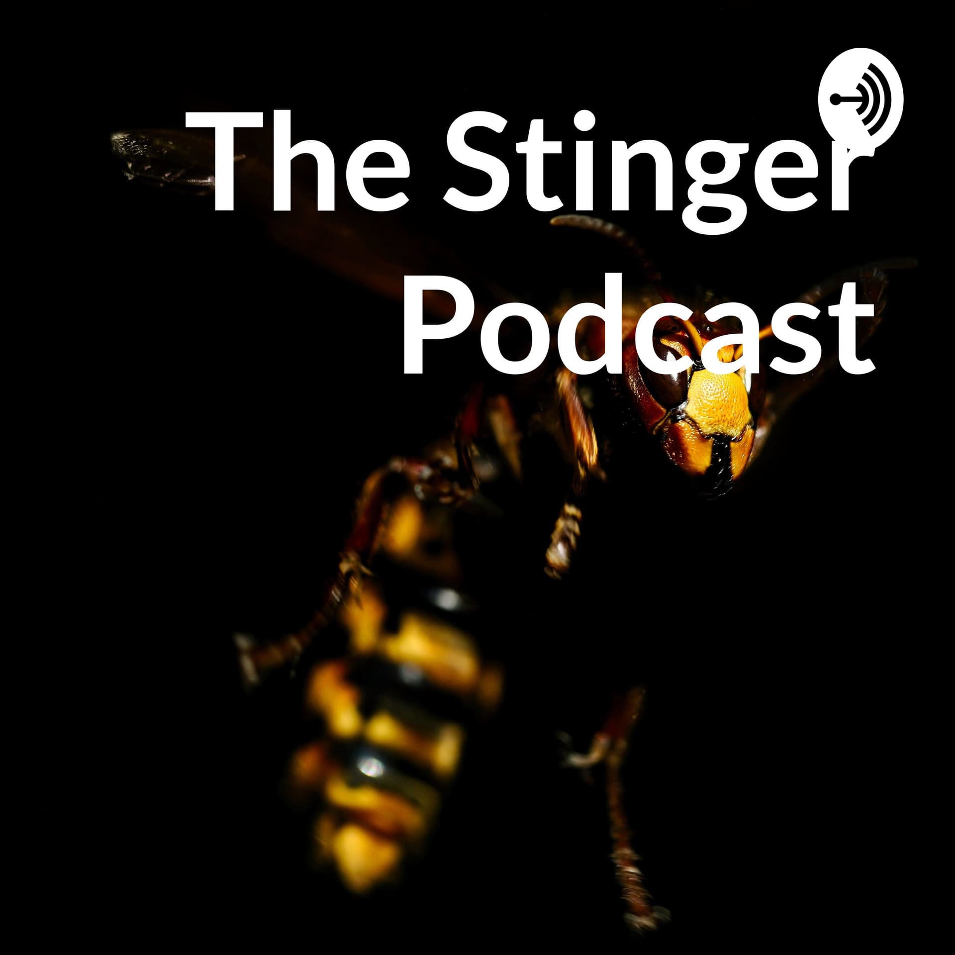 The Stinger Podcast