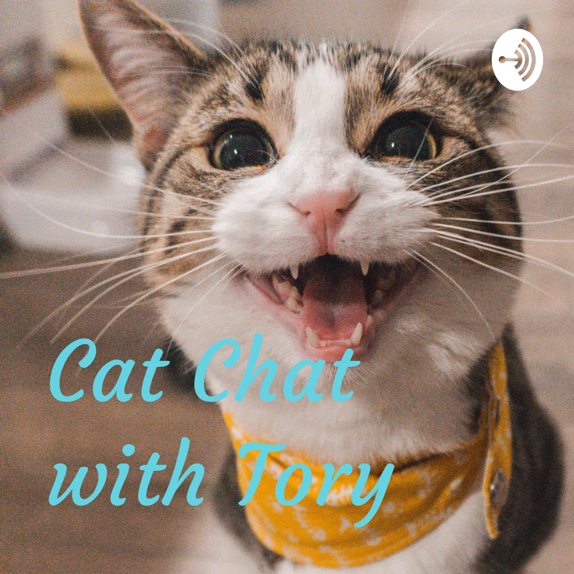 Cat Chat with Tory - Podcasts