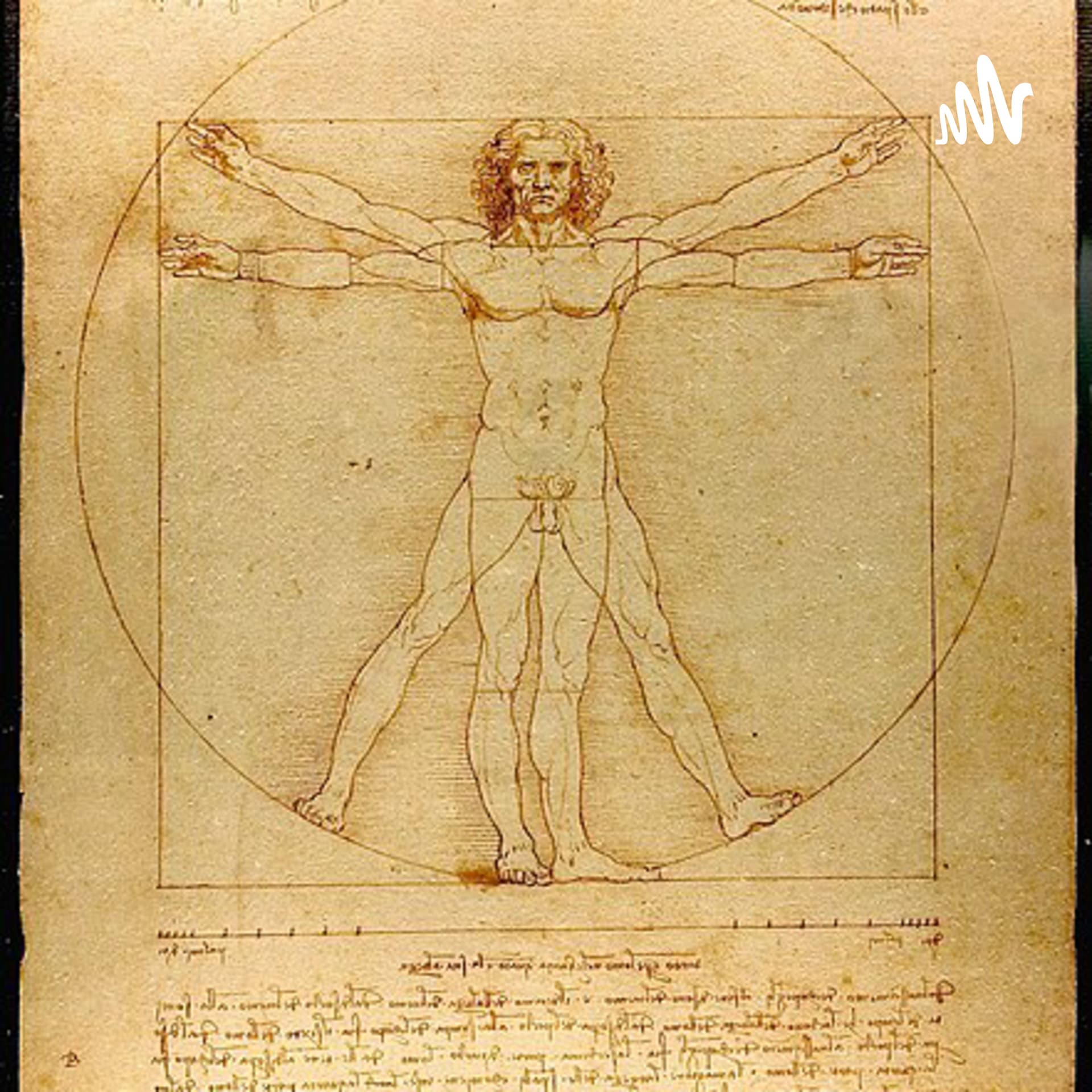 Anatomia- um guia para curiosos