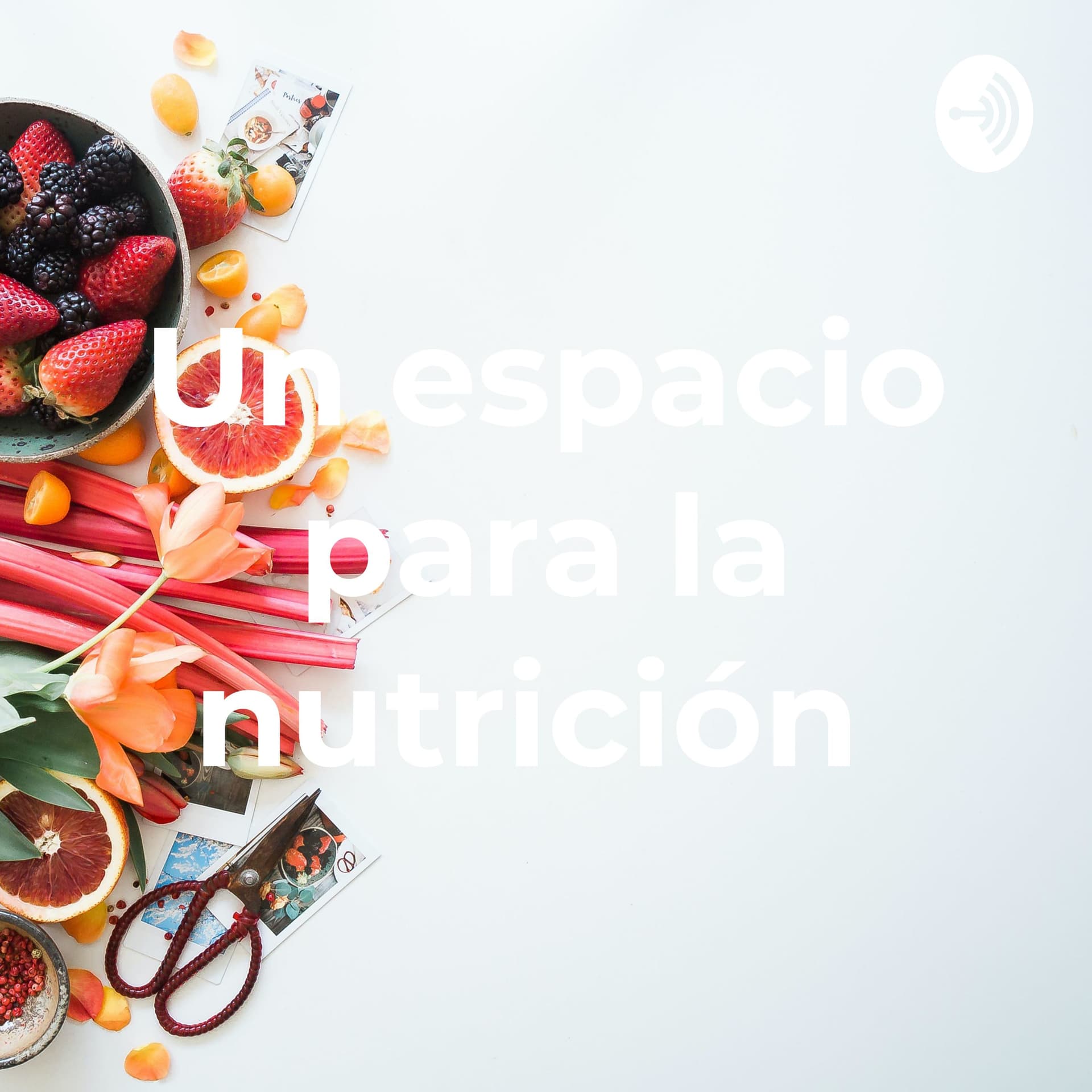 Un espacio para la nutrición - Podcasts