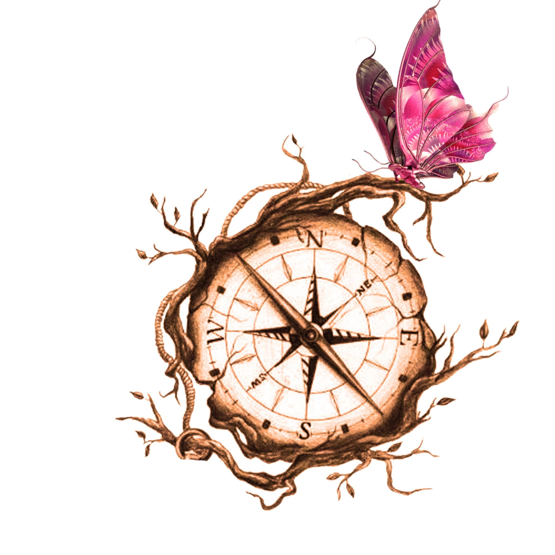 Brujula Holistica - Podcasts