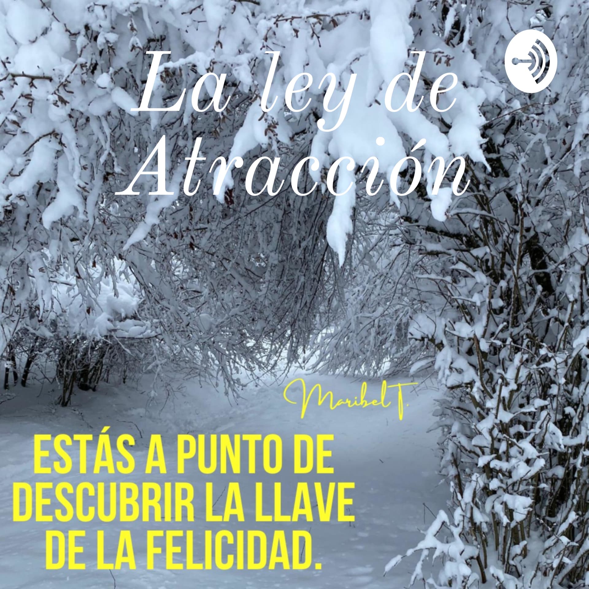 La ley de Atracción - Podcasts