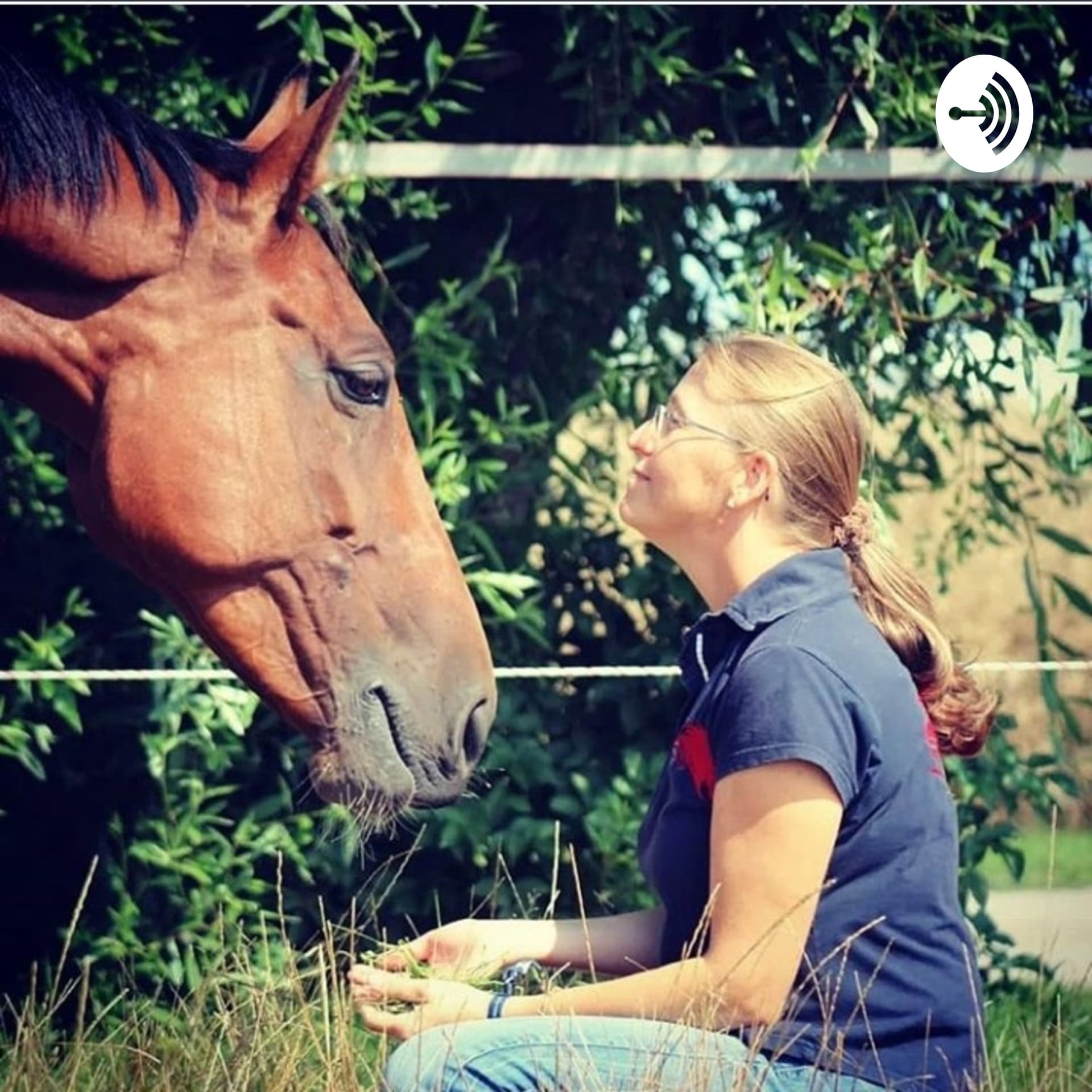 Pferd und Mensch - Ein Tagebuch - Podcasts