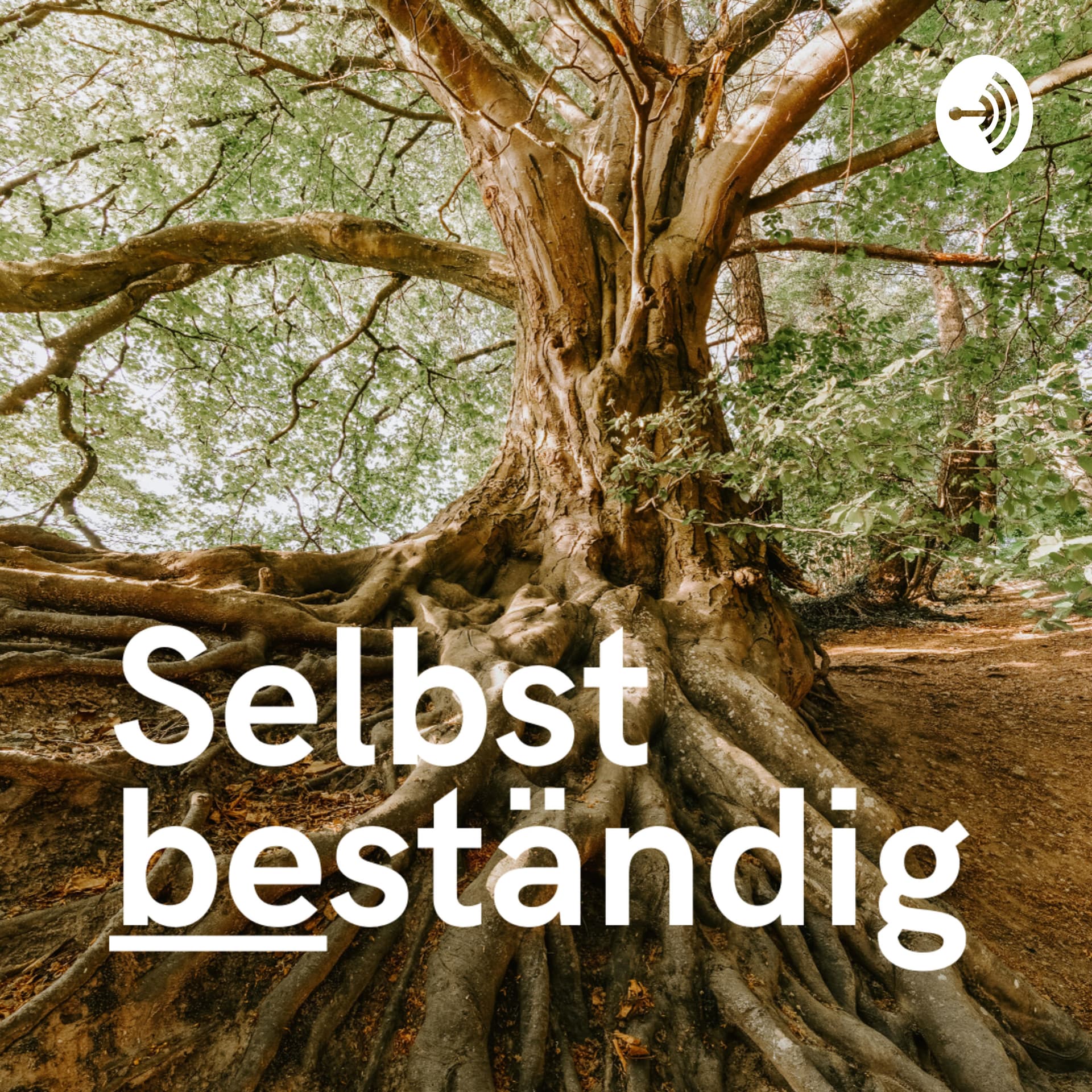 Selbstbeständig - Der Podcast für Selbstständige und Unternehmer*innen - Podcasts