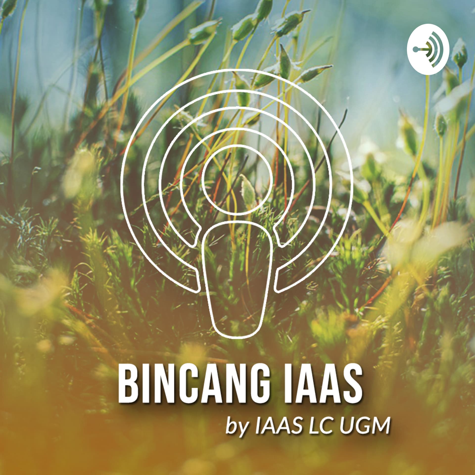 BINCANG IAAS - Podcasts