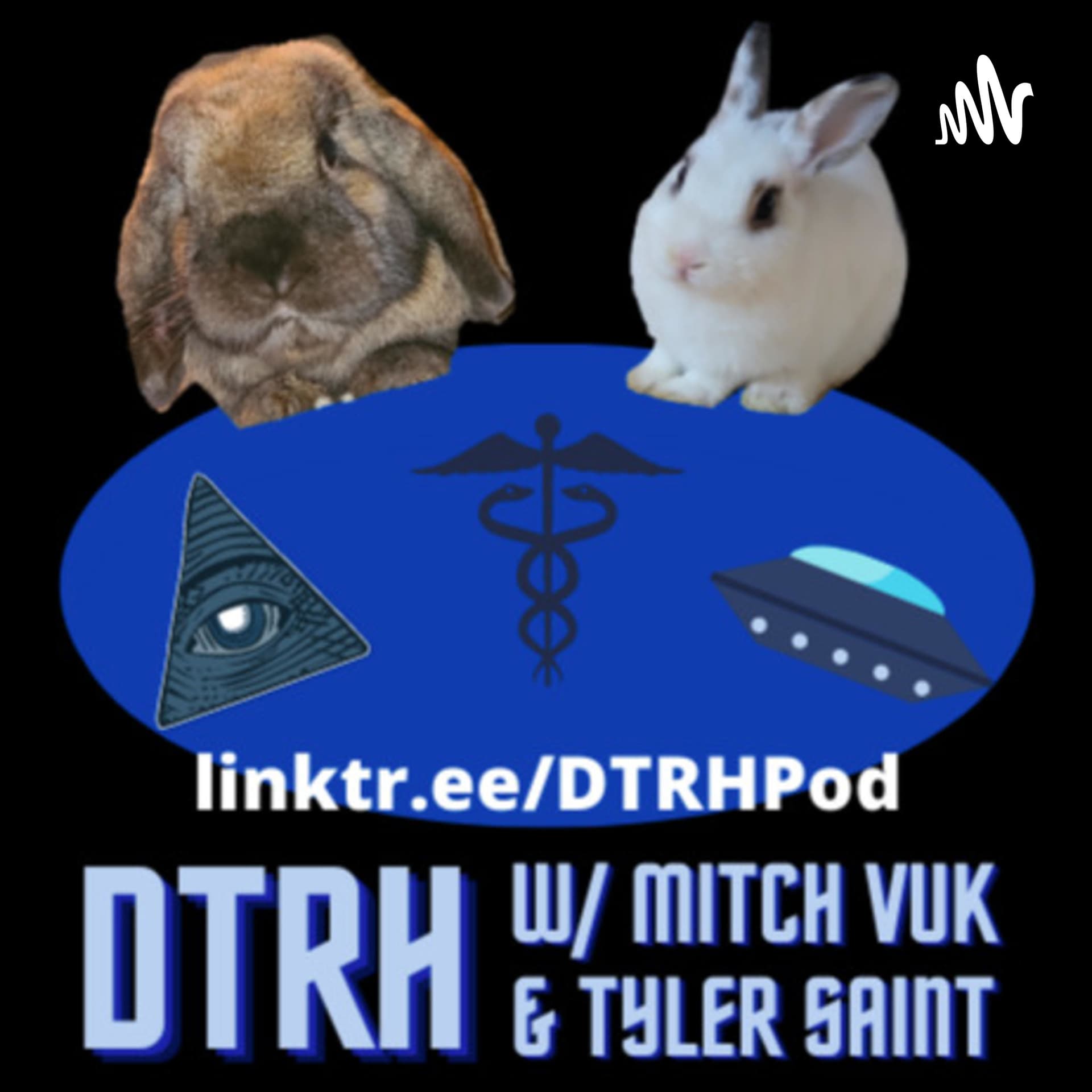 Down The Rabbit Hole with Mitch Vuk - Podcasts