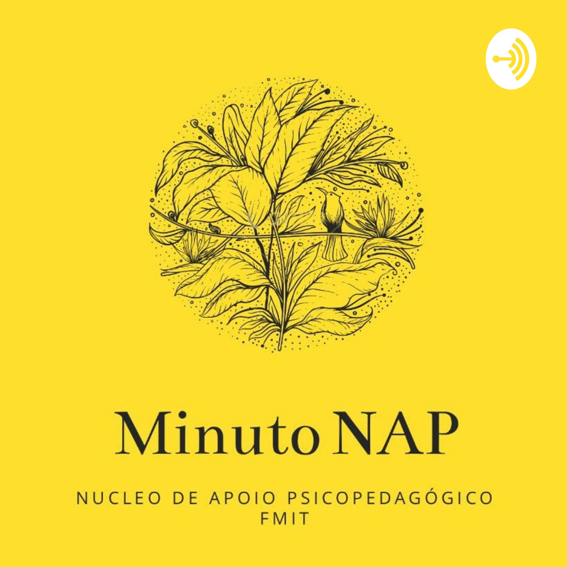 NAP FMIt - Podcasts
