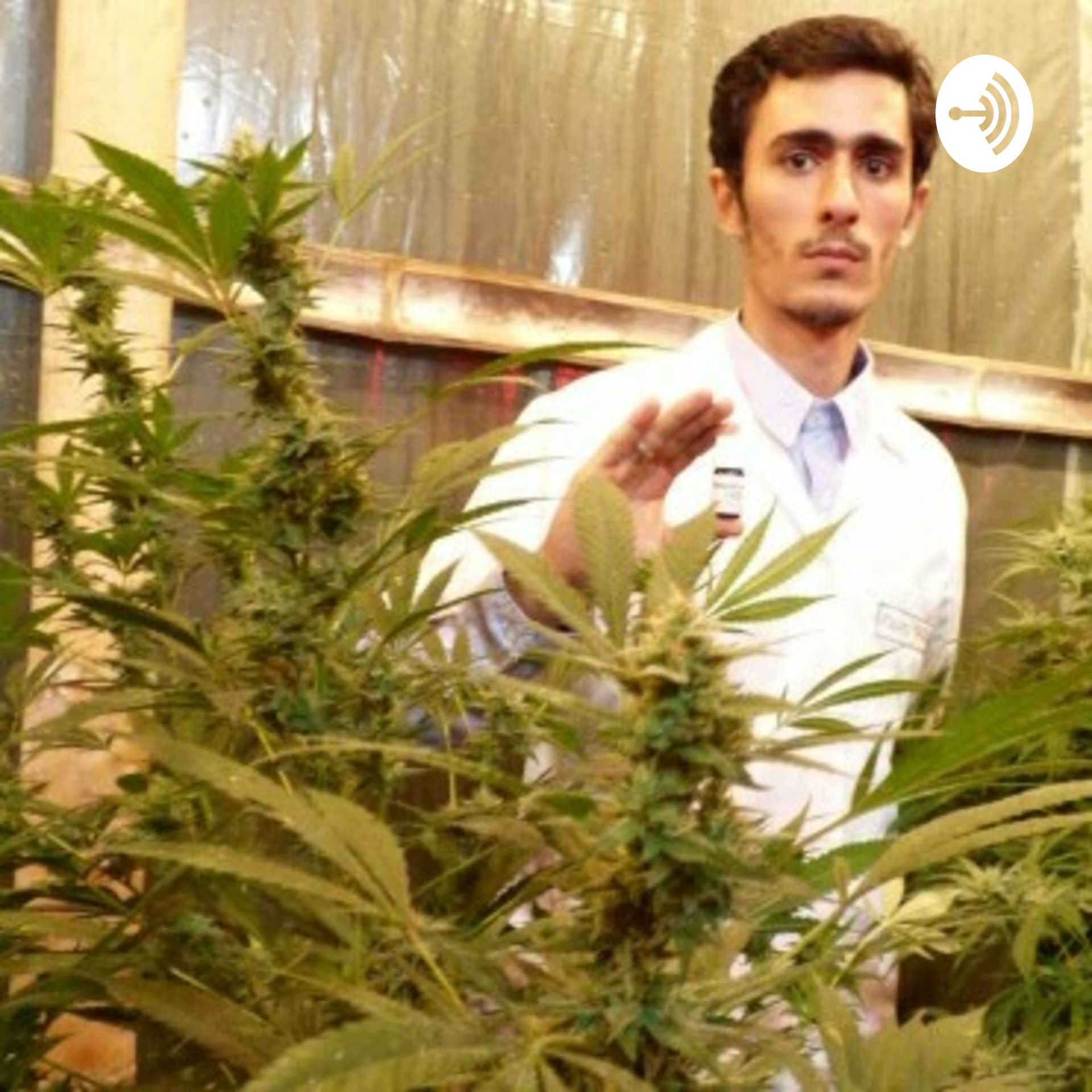 Medicina Natural Por Juan Velez - Podcasts