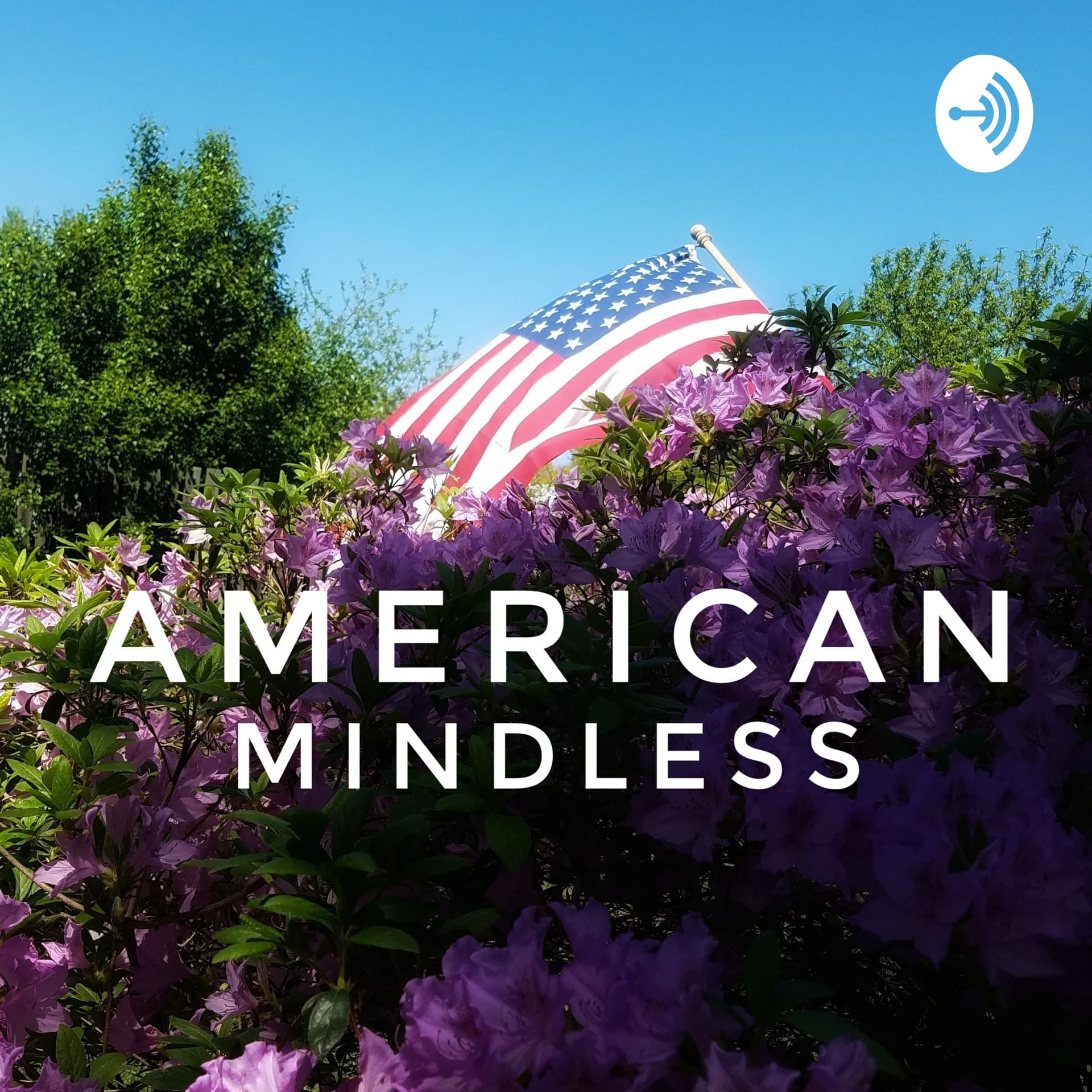American mindless - Podcasts
