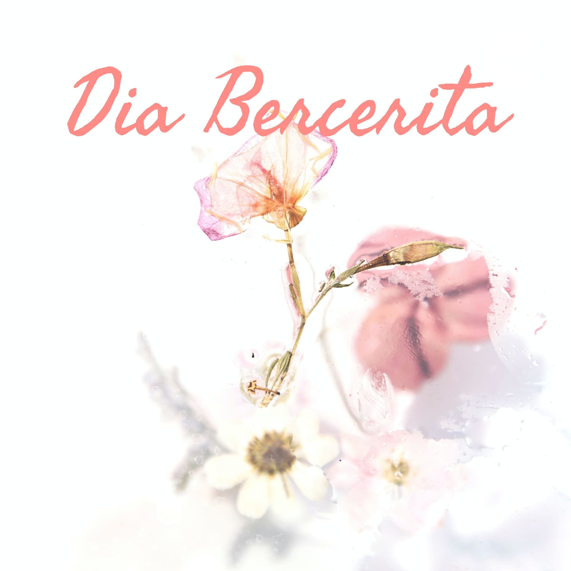 Dia Bercerita - Podcasts