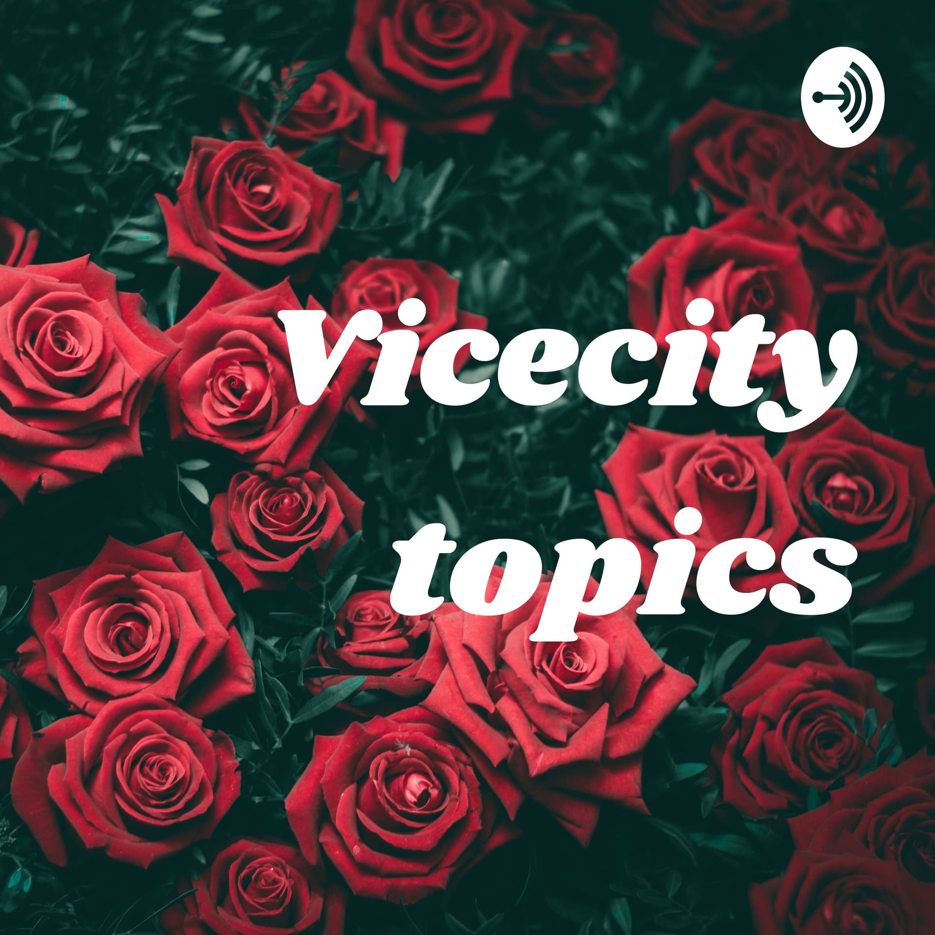 Vicecity topics - Podcasts