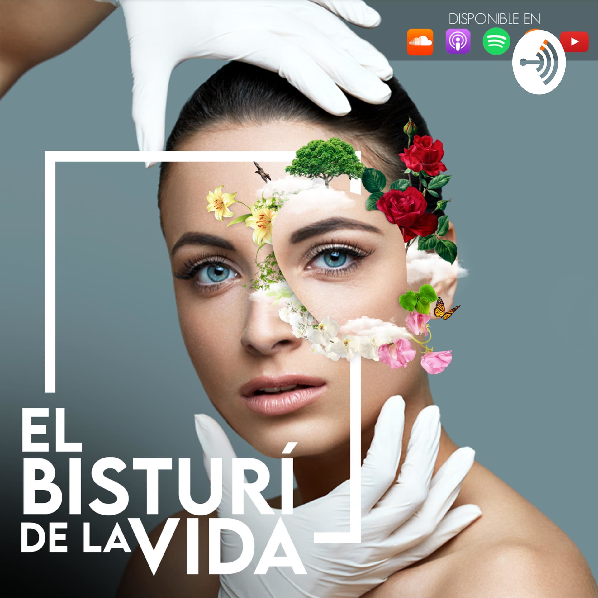 El Bisturí de la Vida - Podcasts