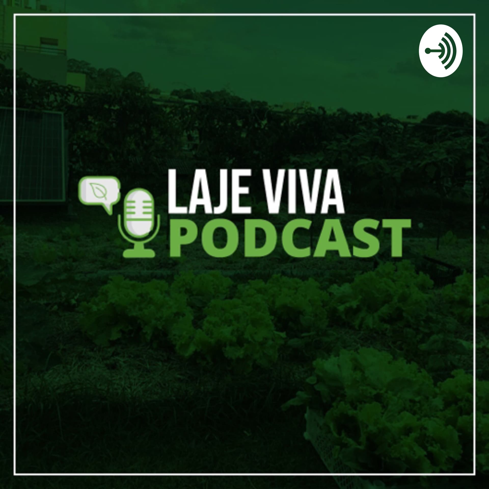 Laje VIVA - Podcasts