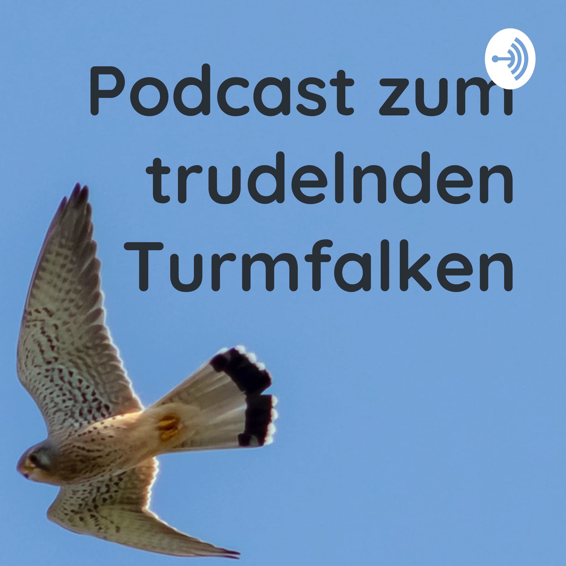 Podcast zum trudelnden Turmfalken - Podcasts
