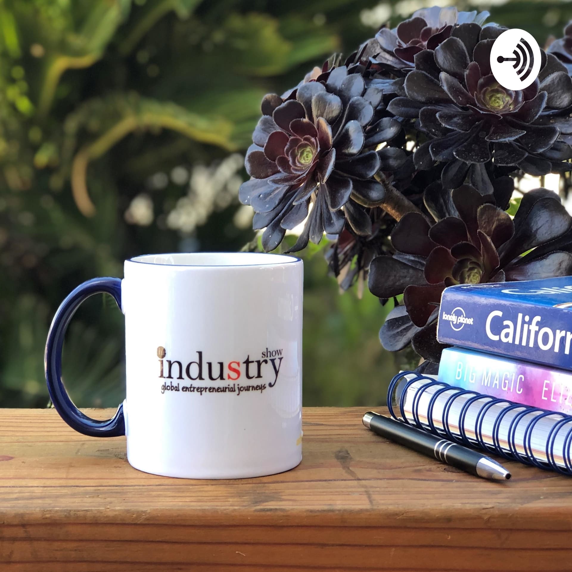 The INDUStry Show - Podcasts