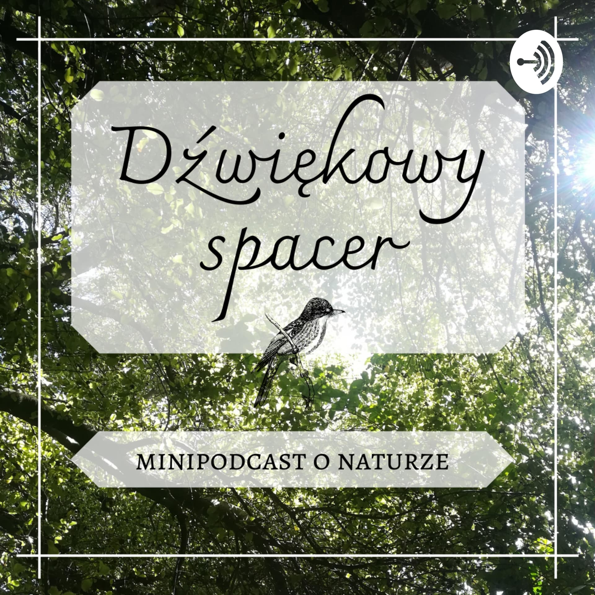 Dźwiękowy spacer - Podcasts