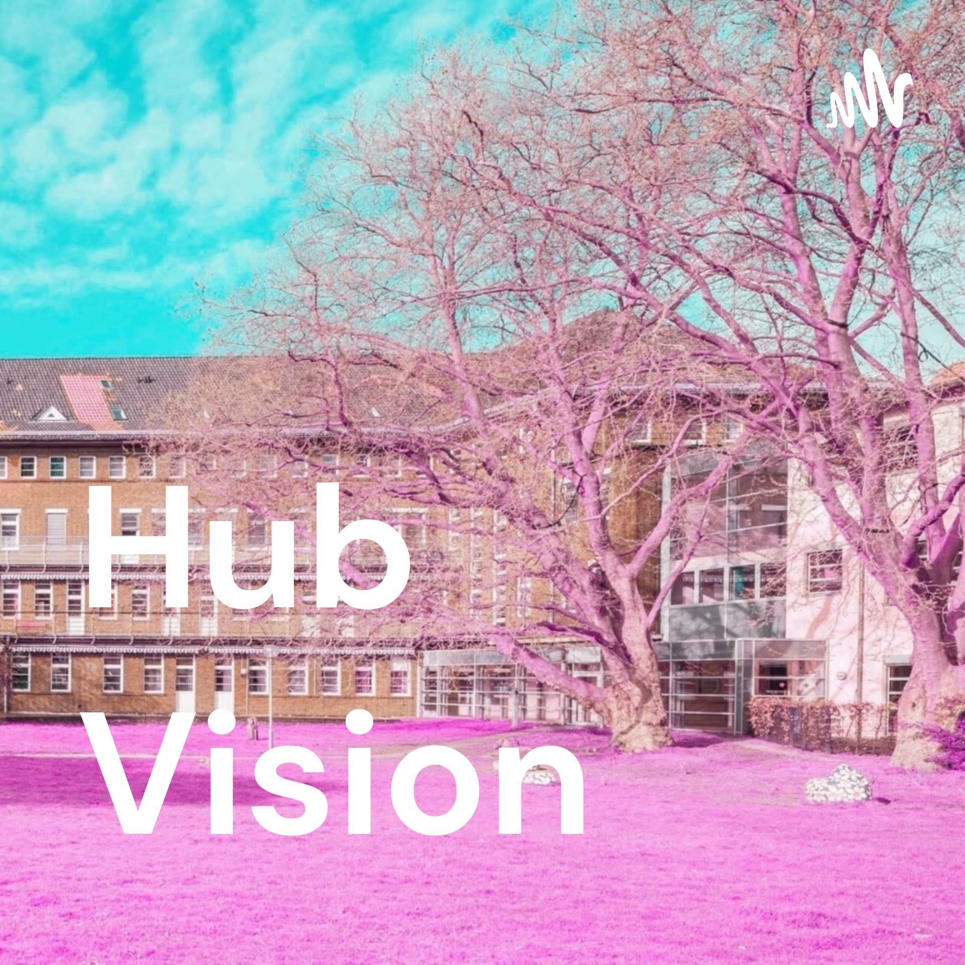 Hub Vision - Podcasts