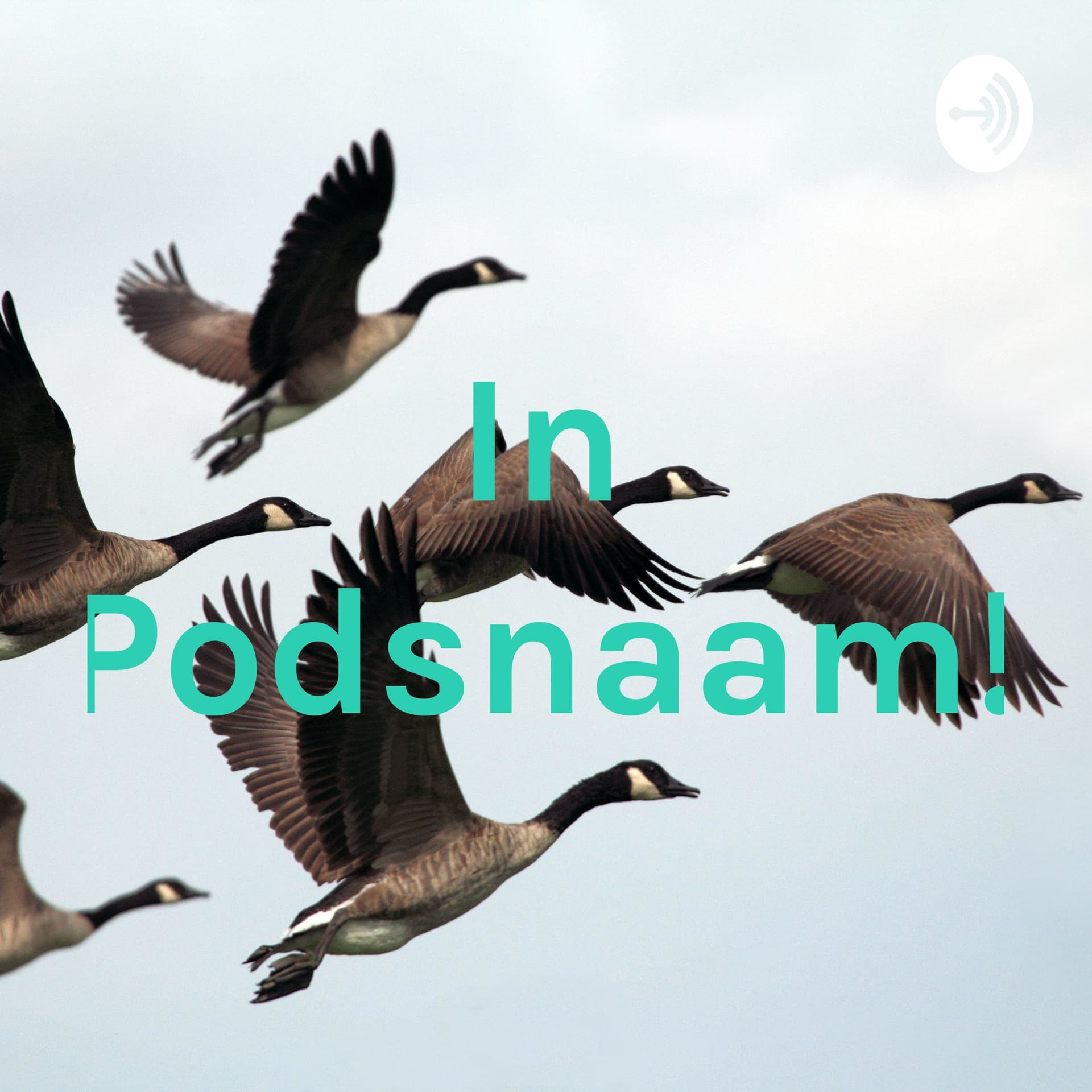 In Podsnaam! - Podcasts