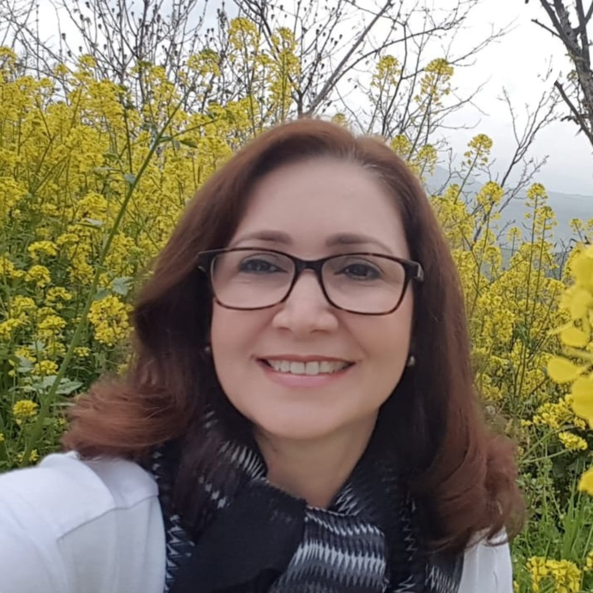 Glaucia Constela - Podcasts