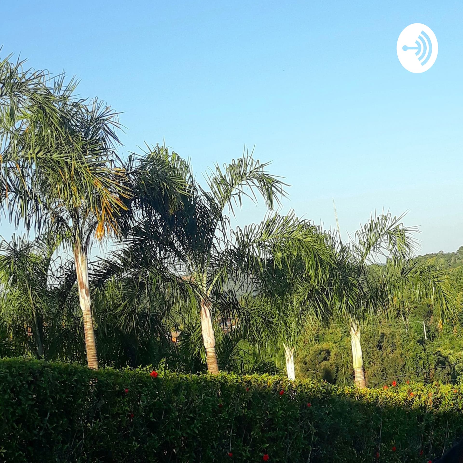 Jornada Não Temas - Fridas Fintelman - Podcasts