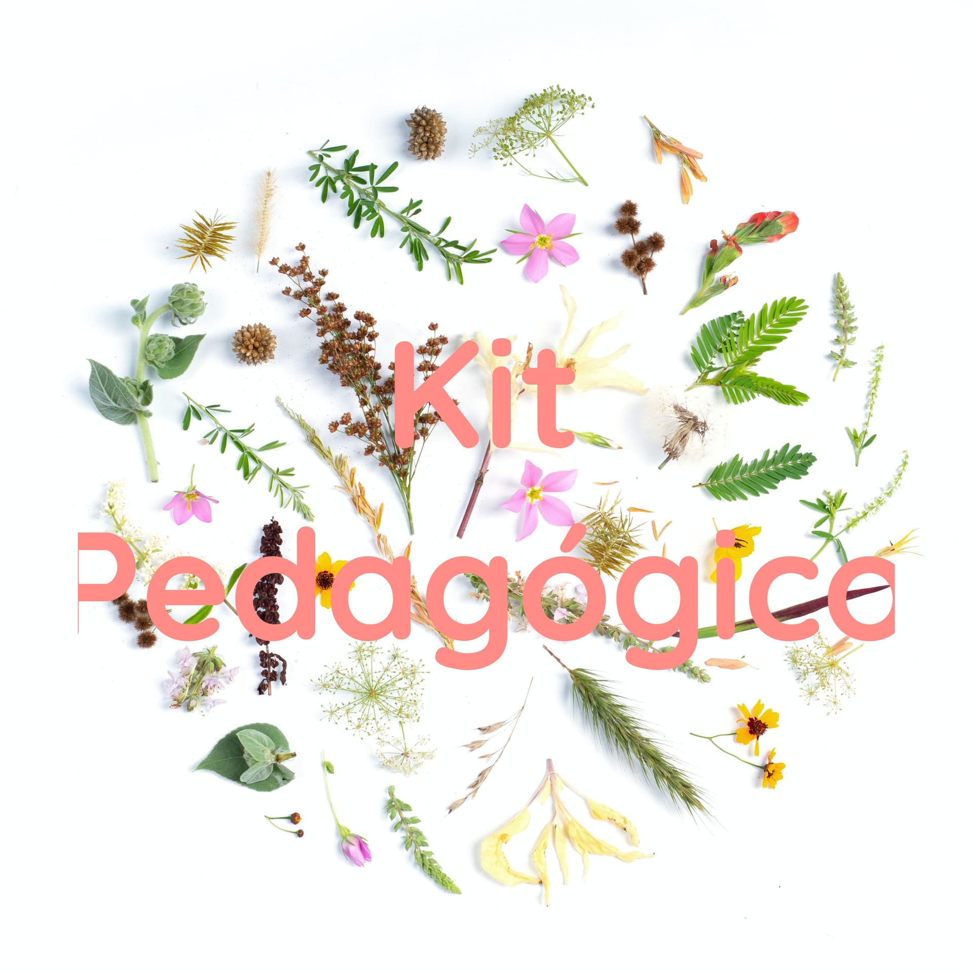 Kit Pedagógico - Podcasts