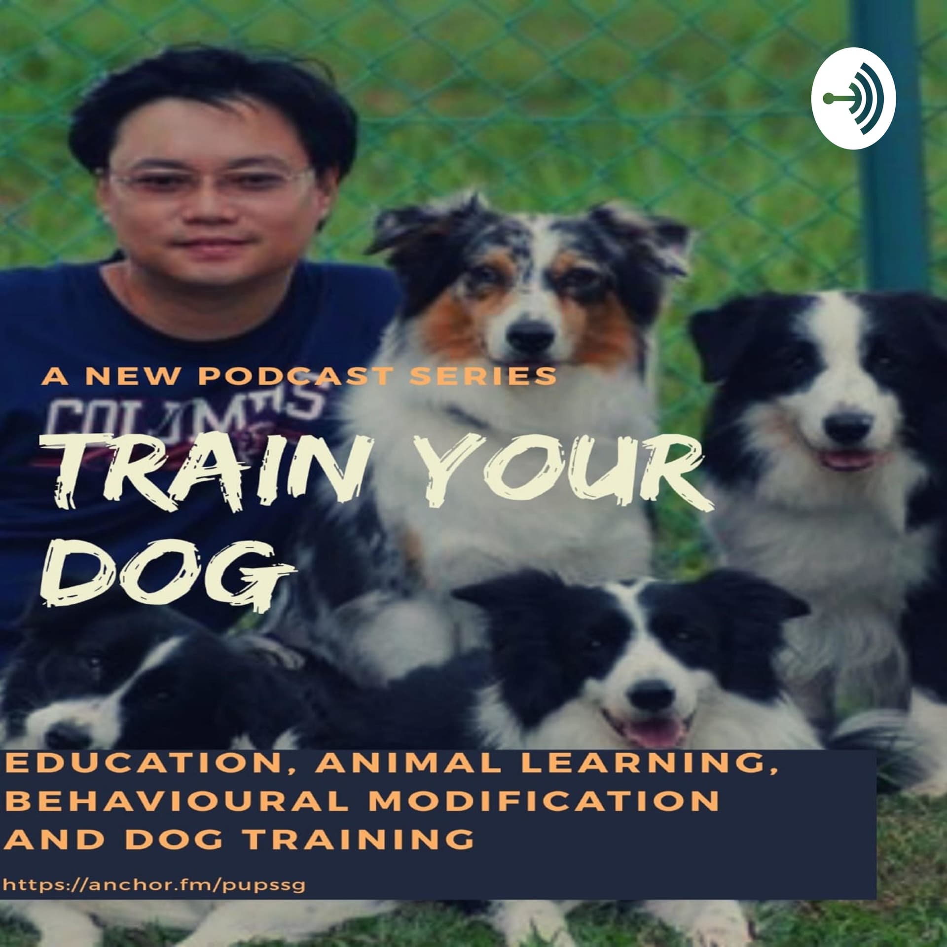 Train Your Dog - Podcasts