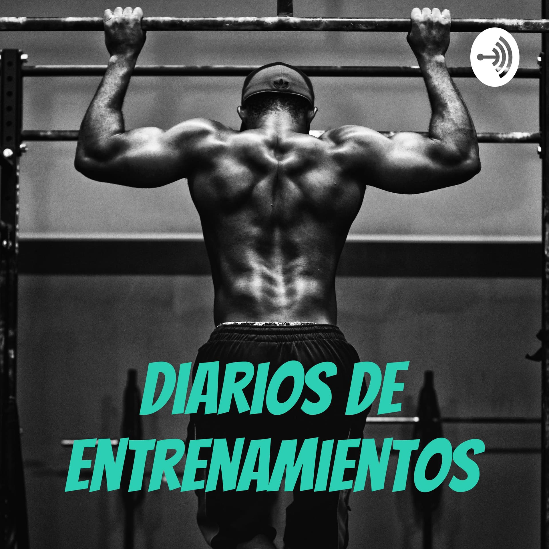 Diarios De Entrenamientos - Podcasts