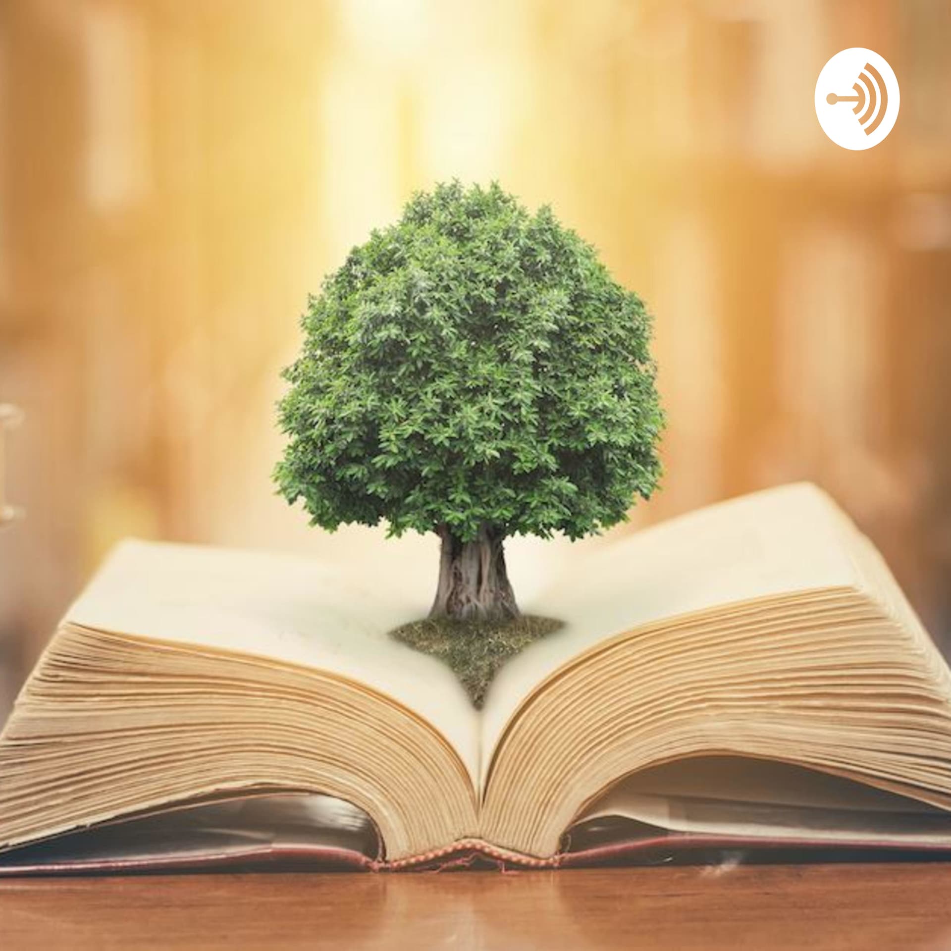Wisdom Mafia - Podcasts