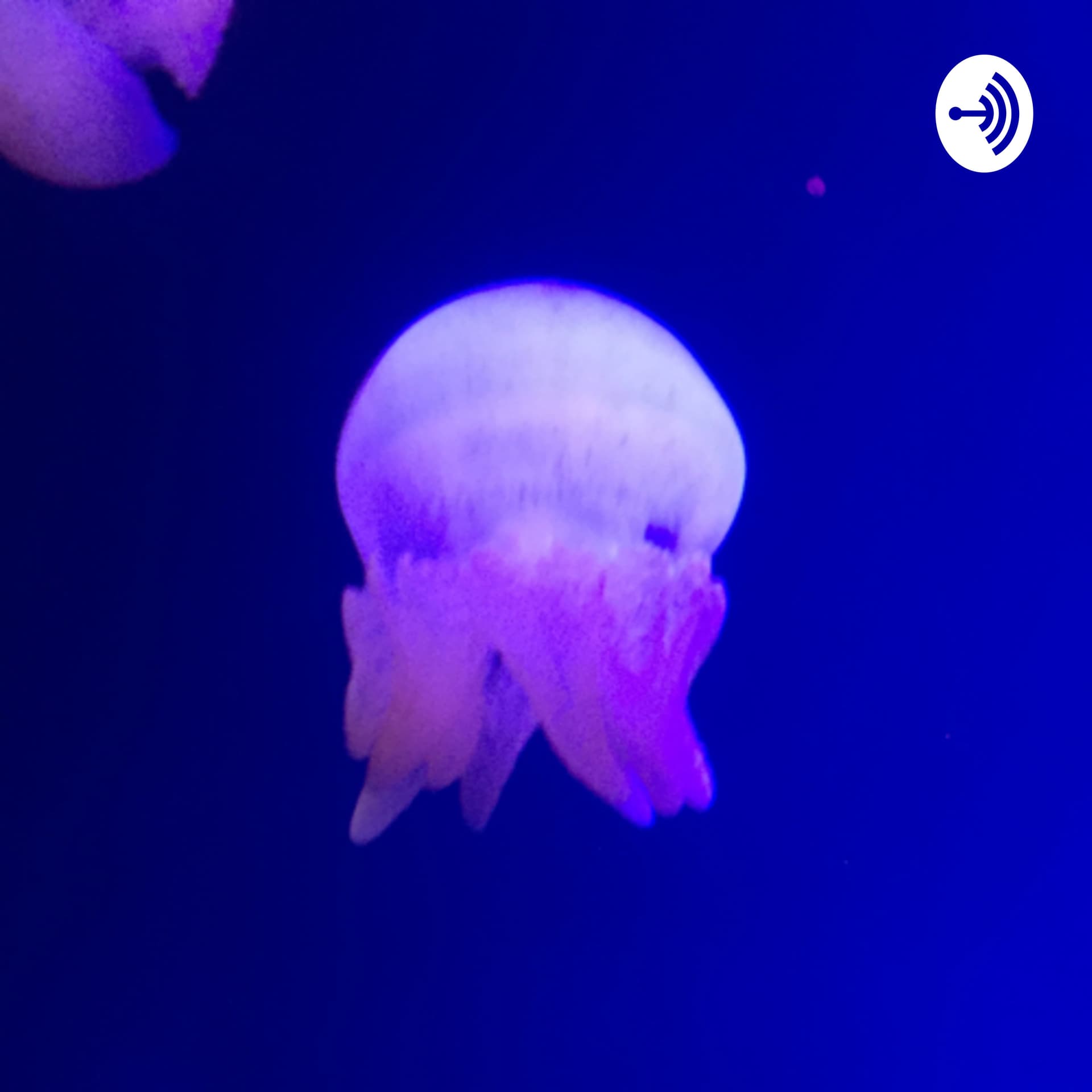 do you wanna talk? - Podcasts