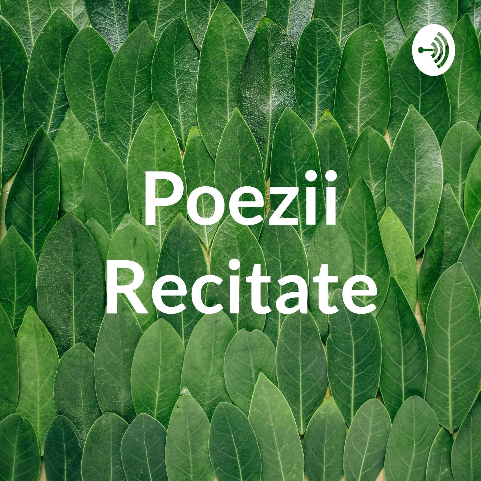 Poezii Recitate - Podcasts