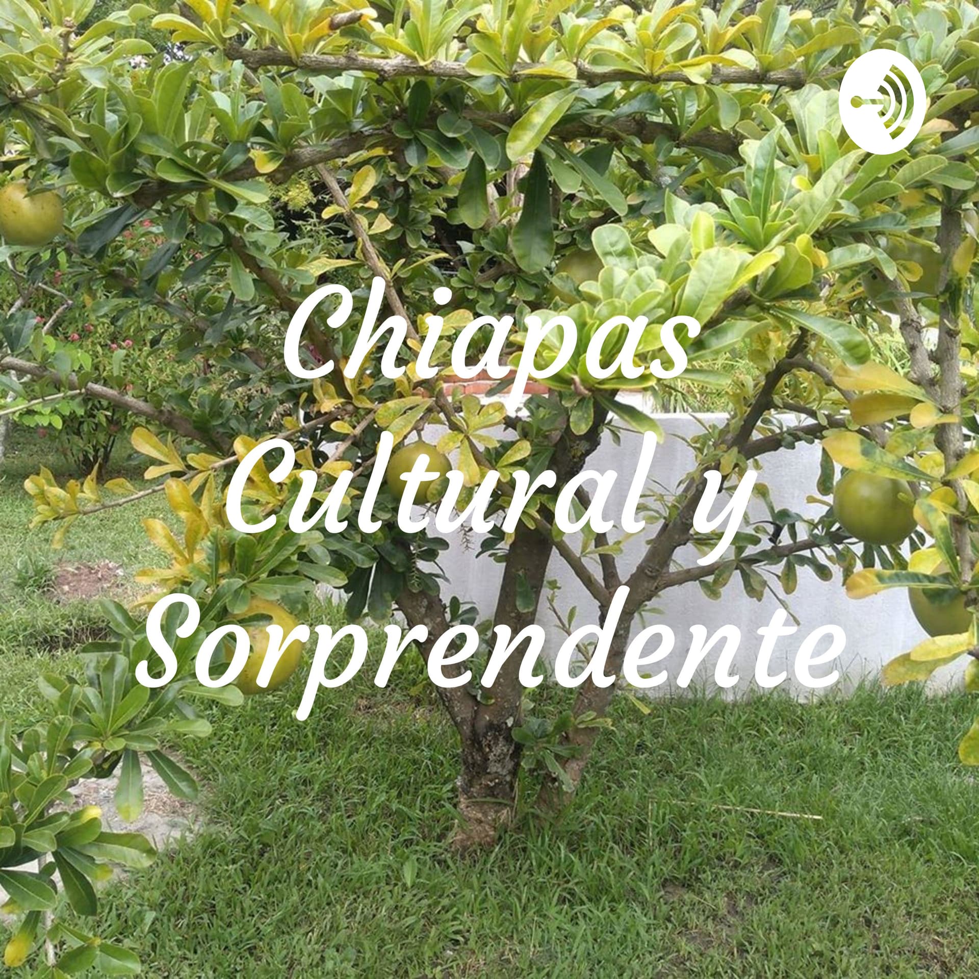Chiapas Cultural y Sorprendente - Podcasts