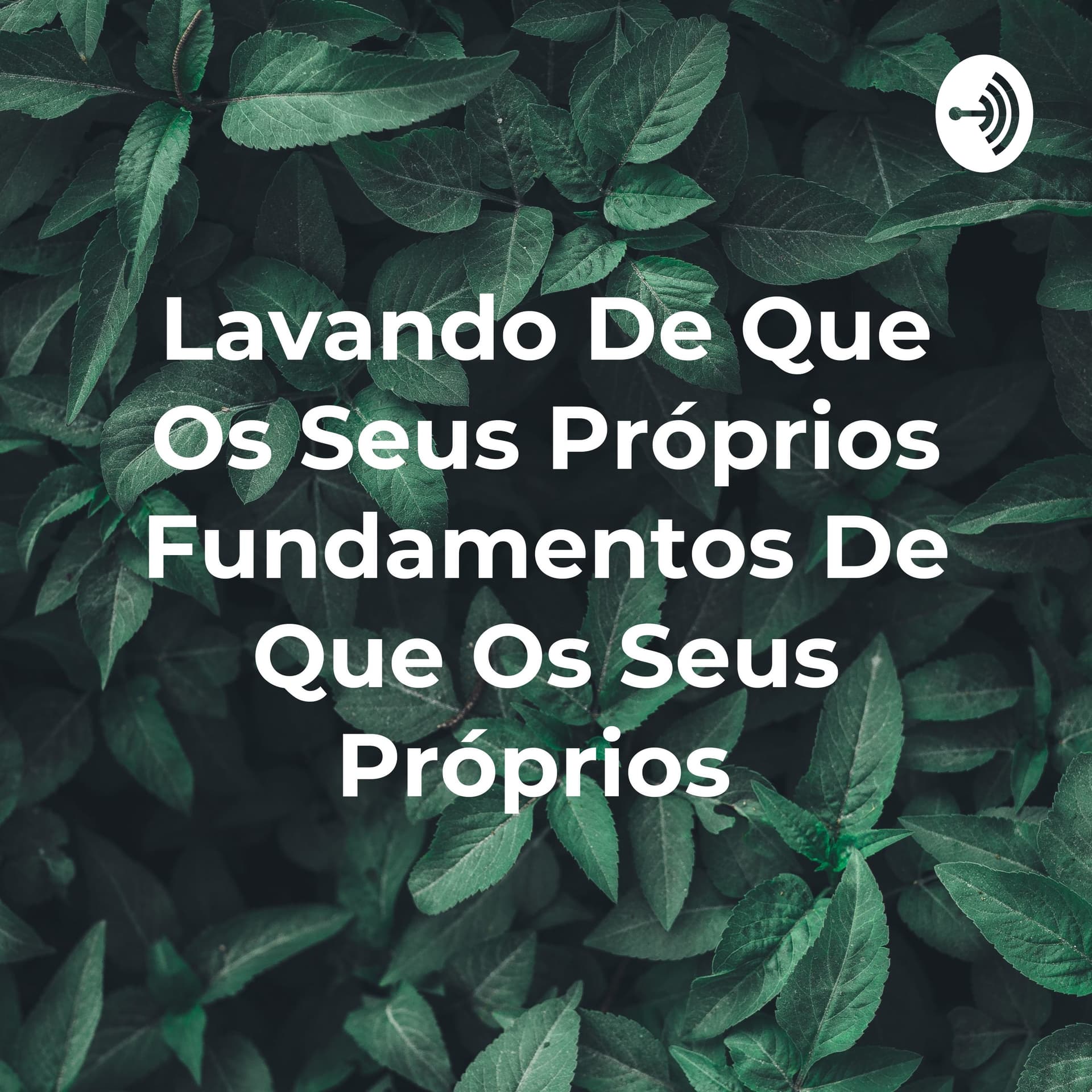 Lavando De Que Os Seus Próprios Fundamentos De Que Os Seus Próprios - Podcasts