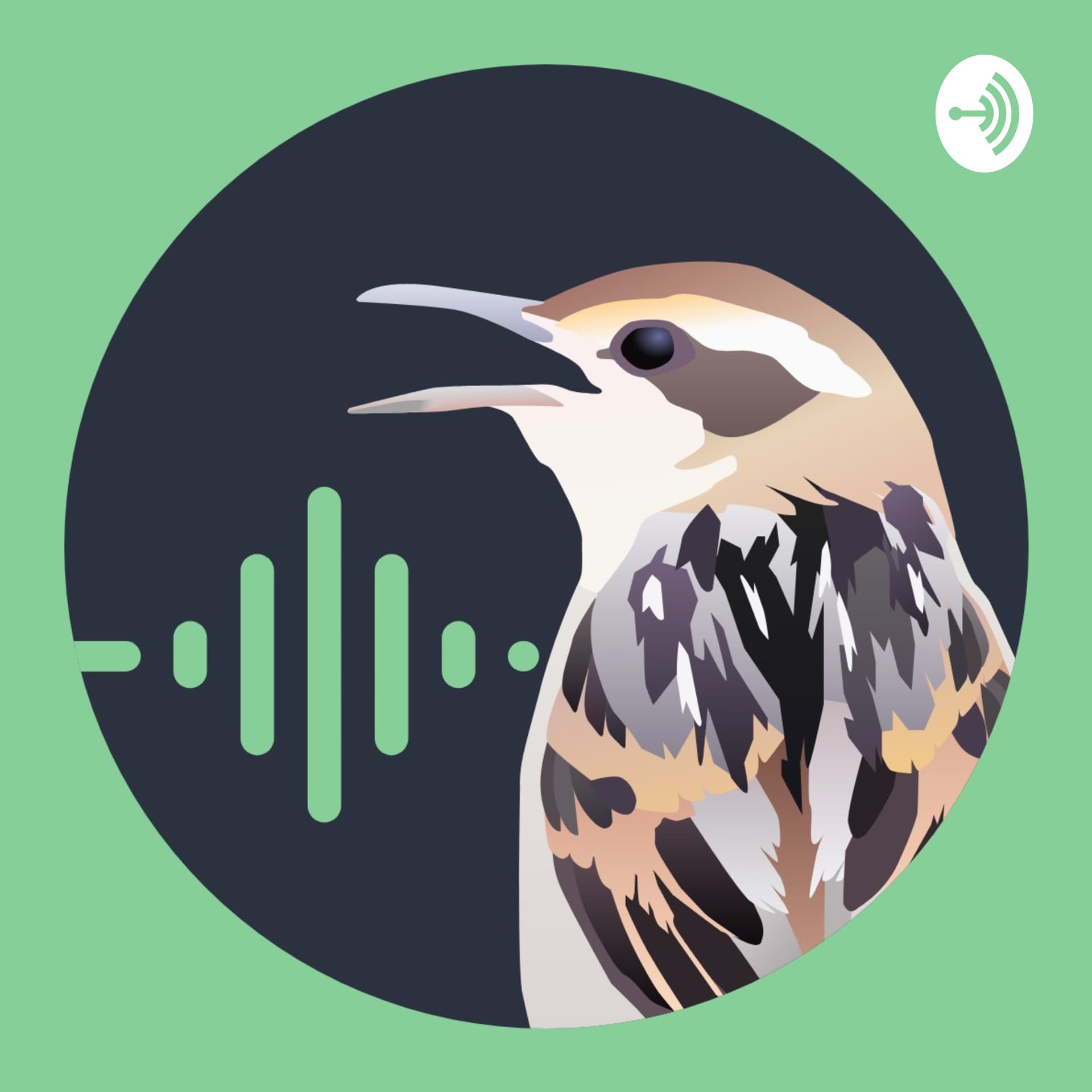 Batebico Podcast - Podcasts
