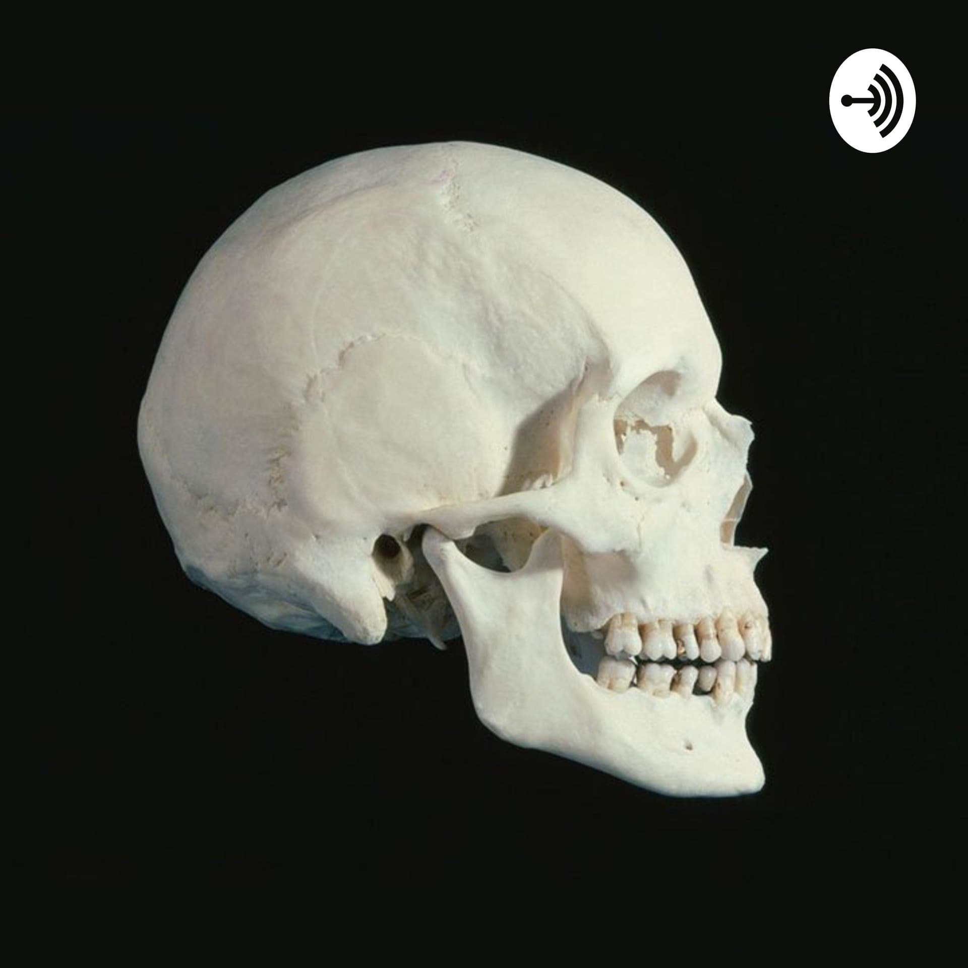 M E T A N O I A - Podcasts