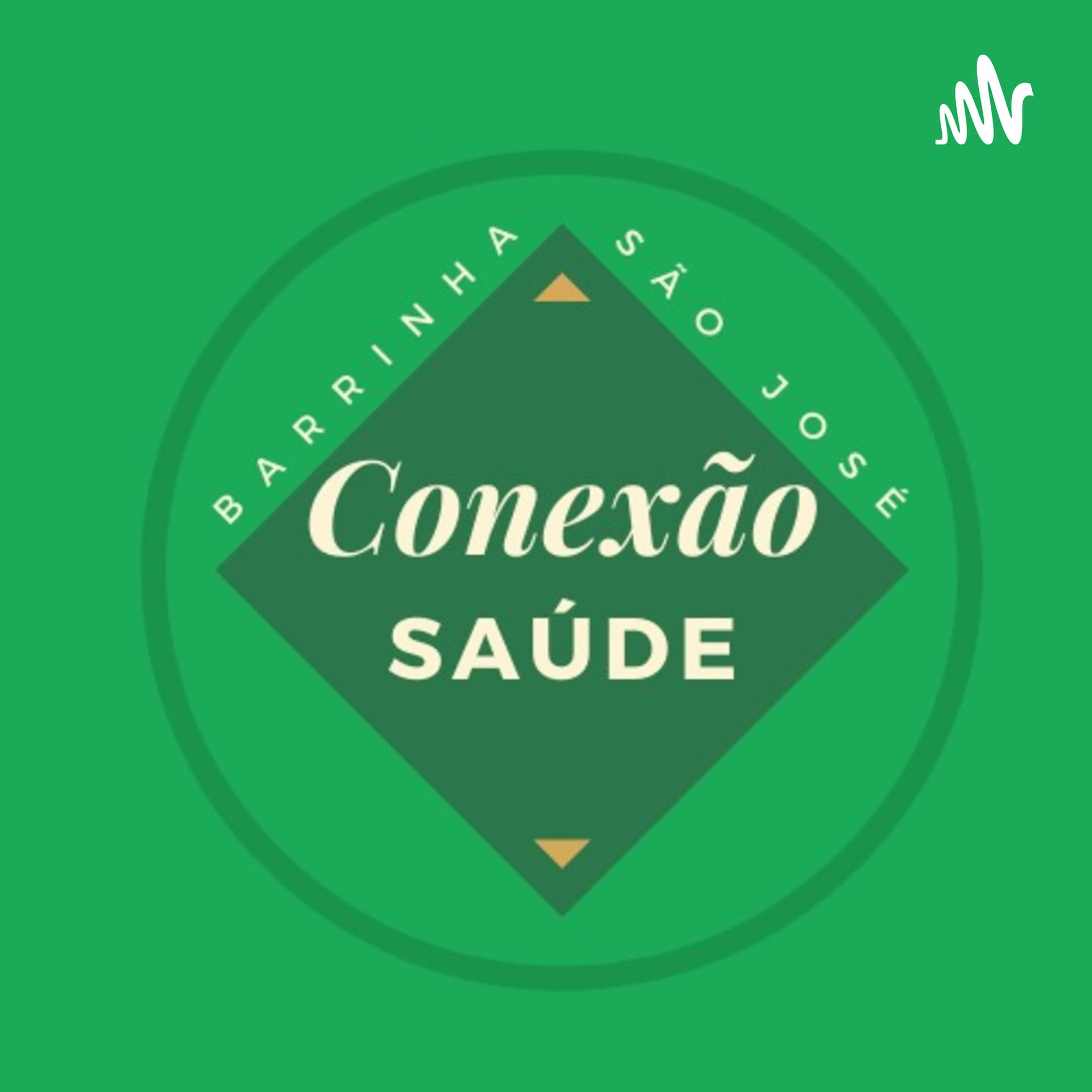 Conexão Saúde